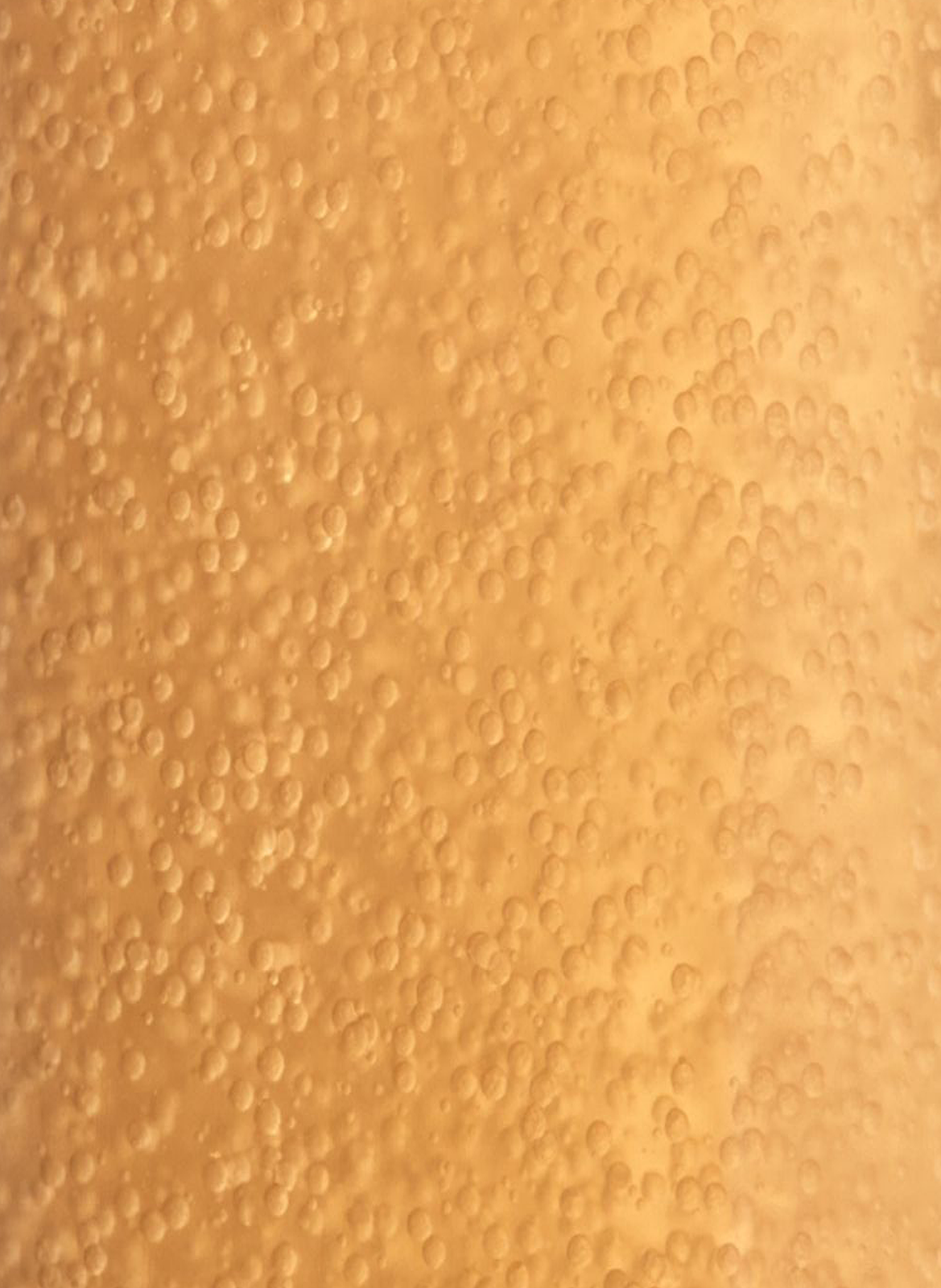 Infusion microperlée jeunesse PAYOT No color