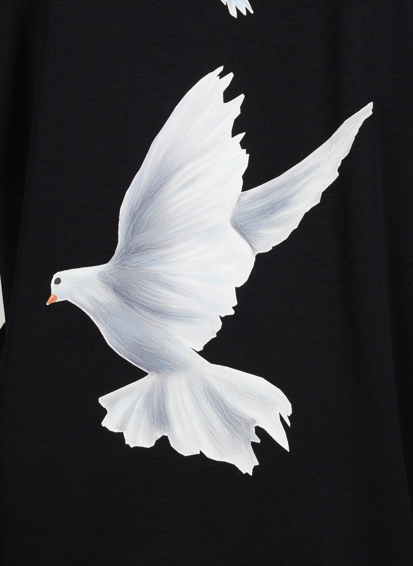 Cotton T-shirt with dove print 3 PARADIS Black