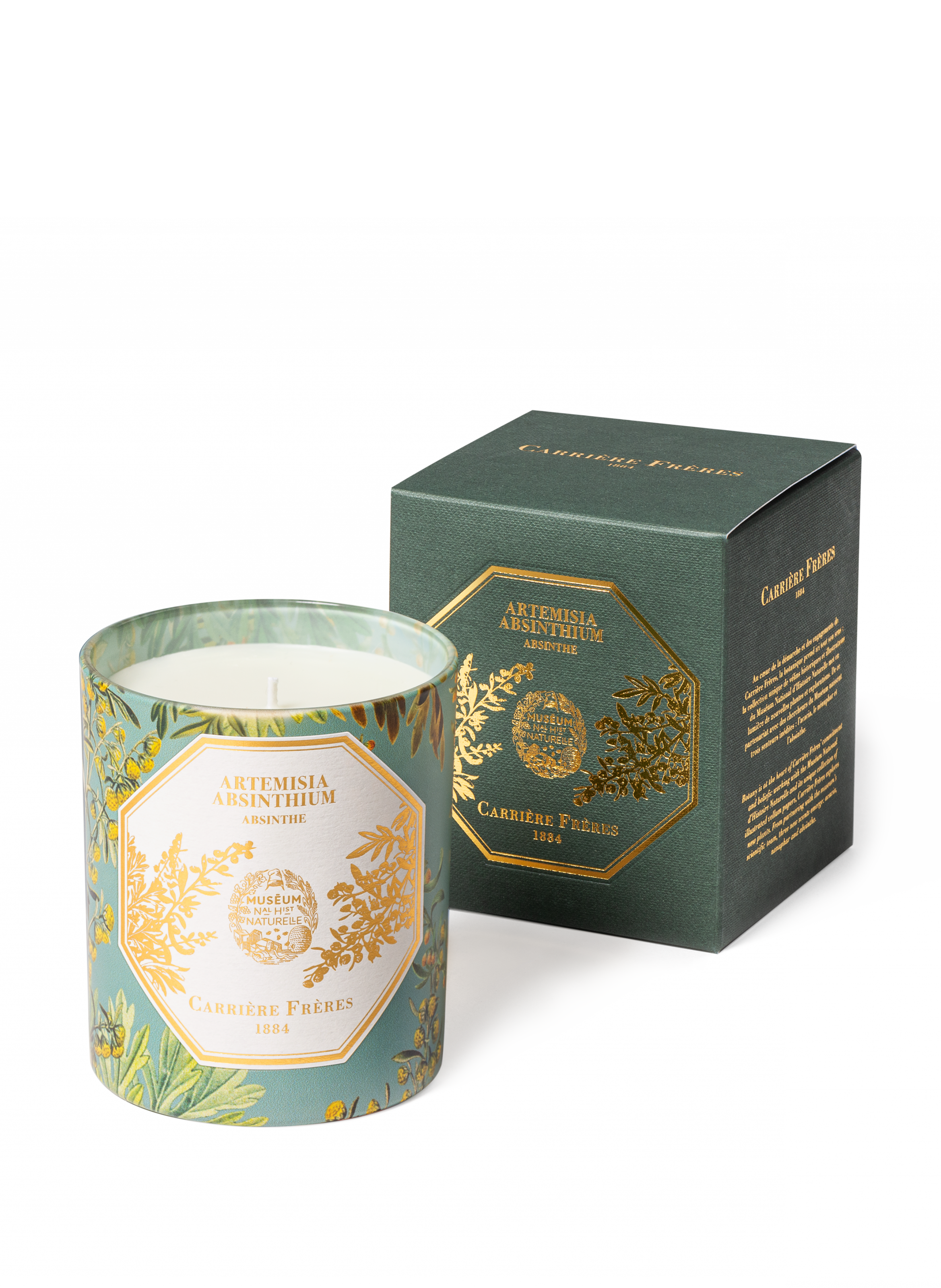 Bougie Parfumée Artemisia Absinthium