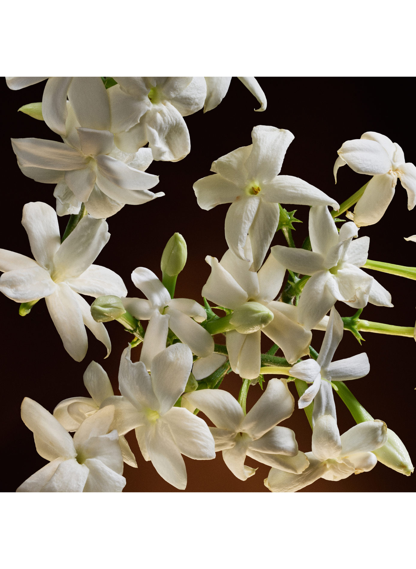 The One - Eau de Parfum Intense DOLCE & GABBANA No color