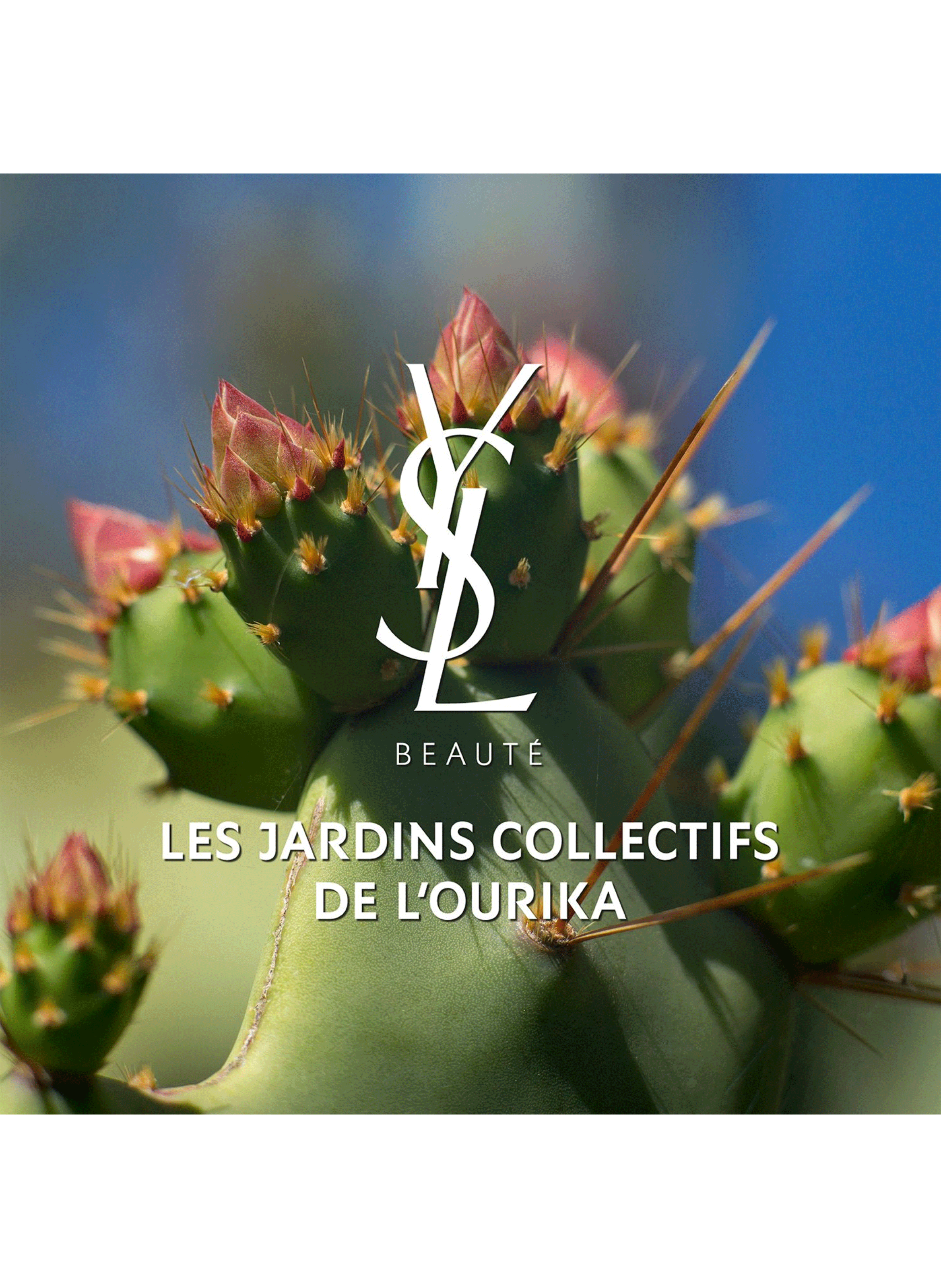 Libre Huile sublimatrice pour le corps YVES SAINT LAURENT No color