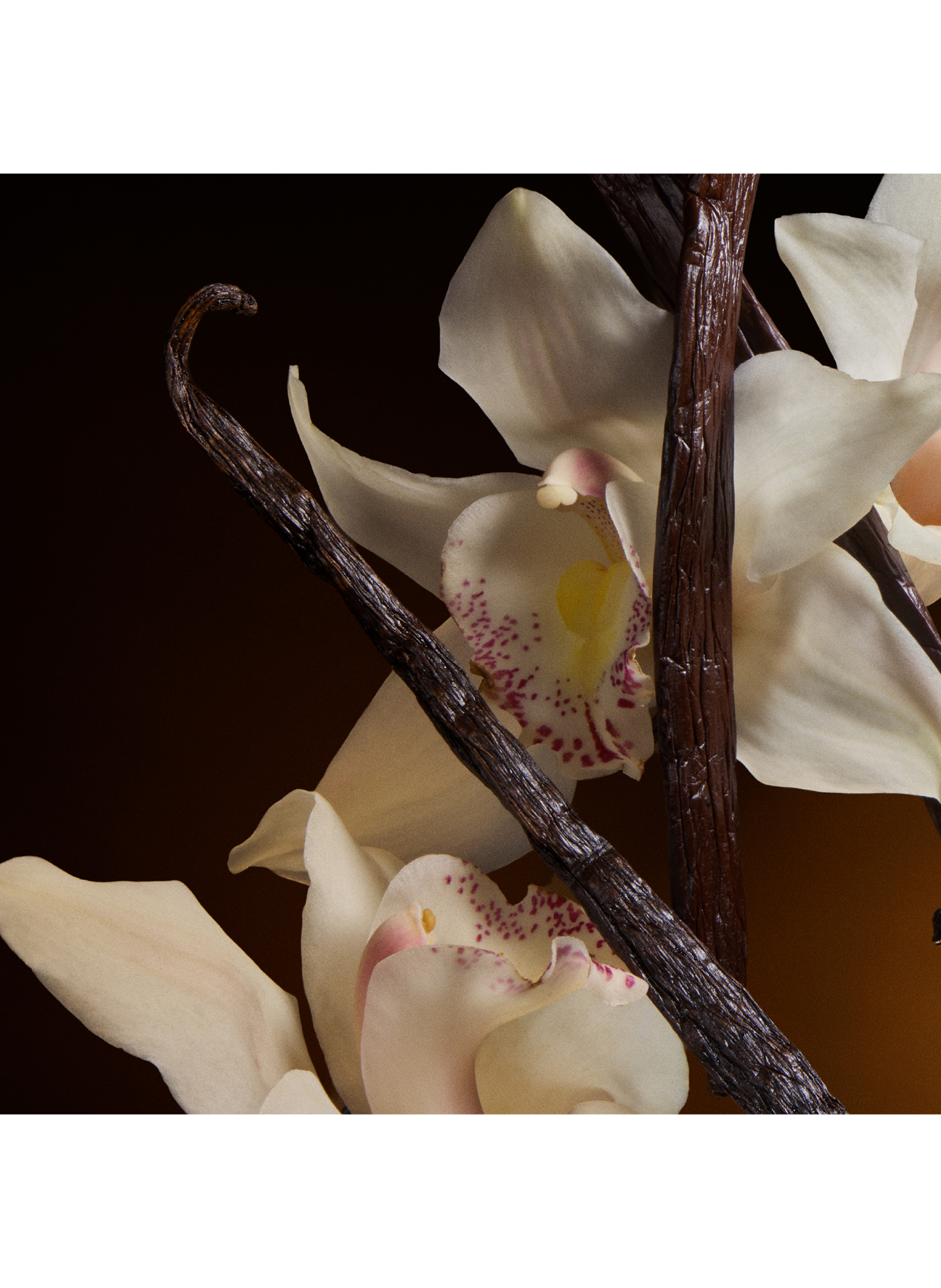 The One - Eau de Parfum Intense DOLCE & GABBANA No color