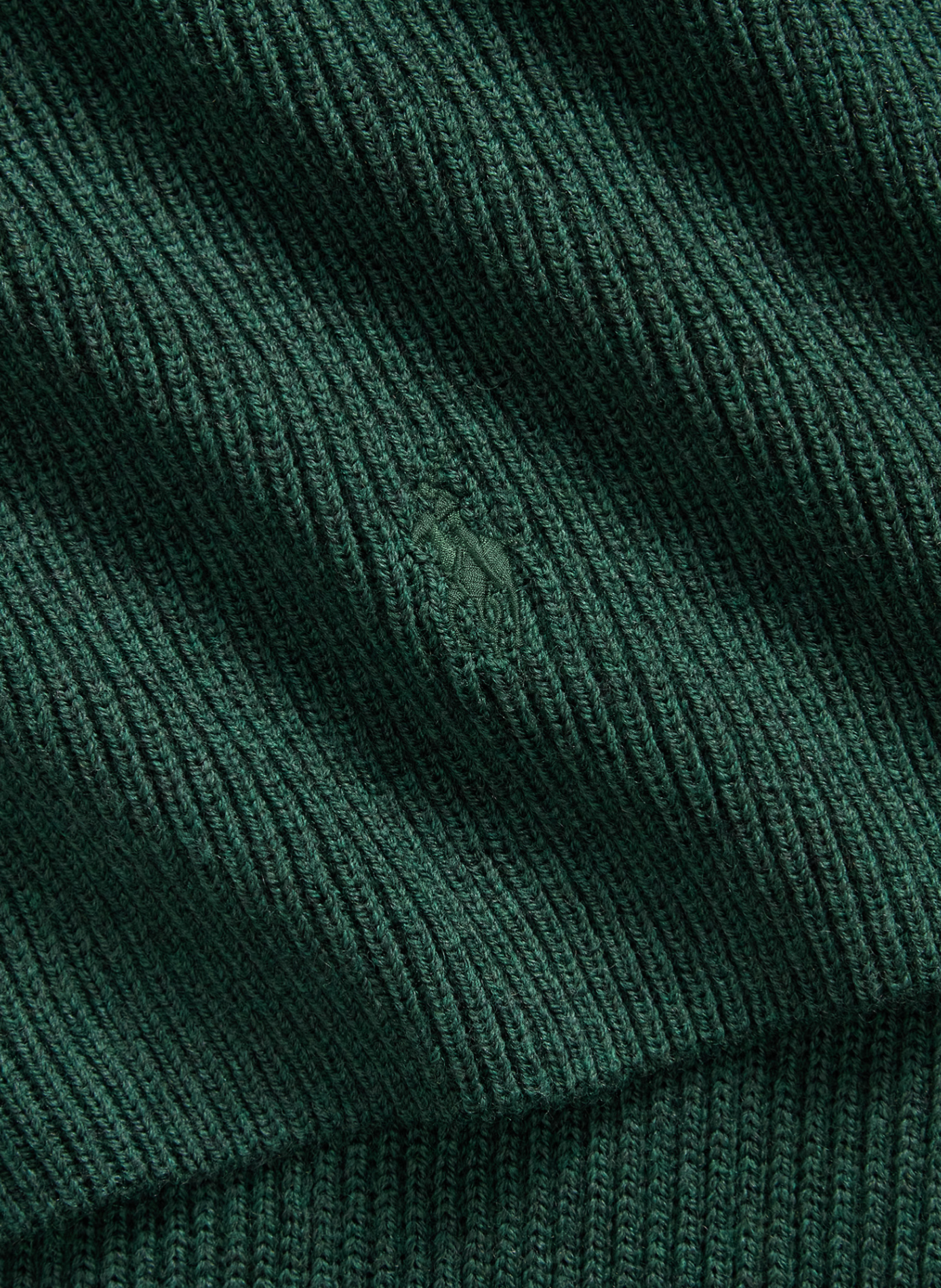 Scarf with a plain and checked appearance | Green POLO RALPH LAUREN Men