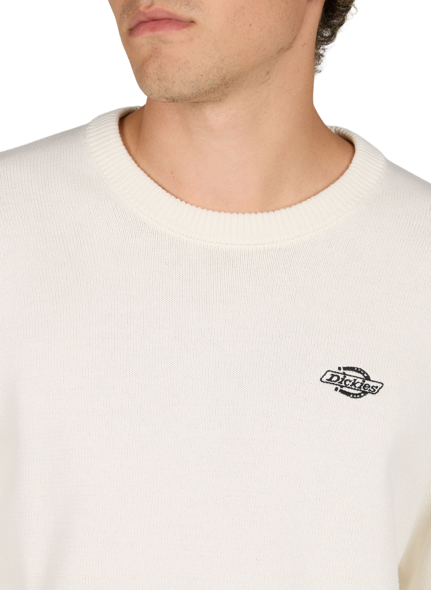 Fluffy katoenen trui DICKIES Wit