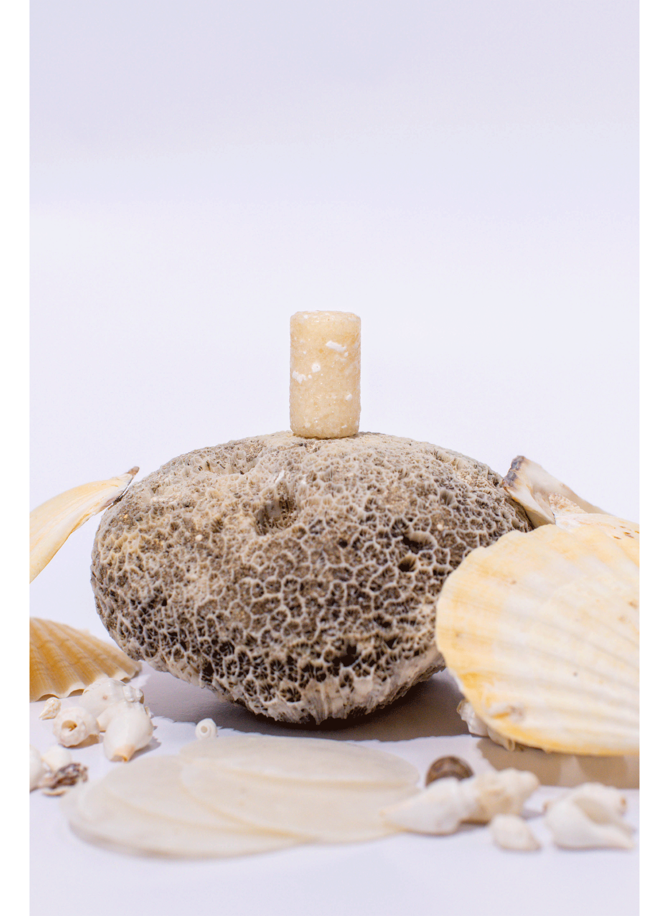 Lotion hydratante visage