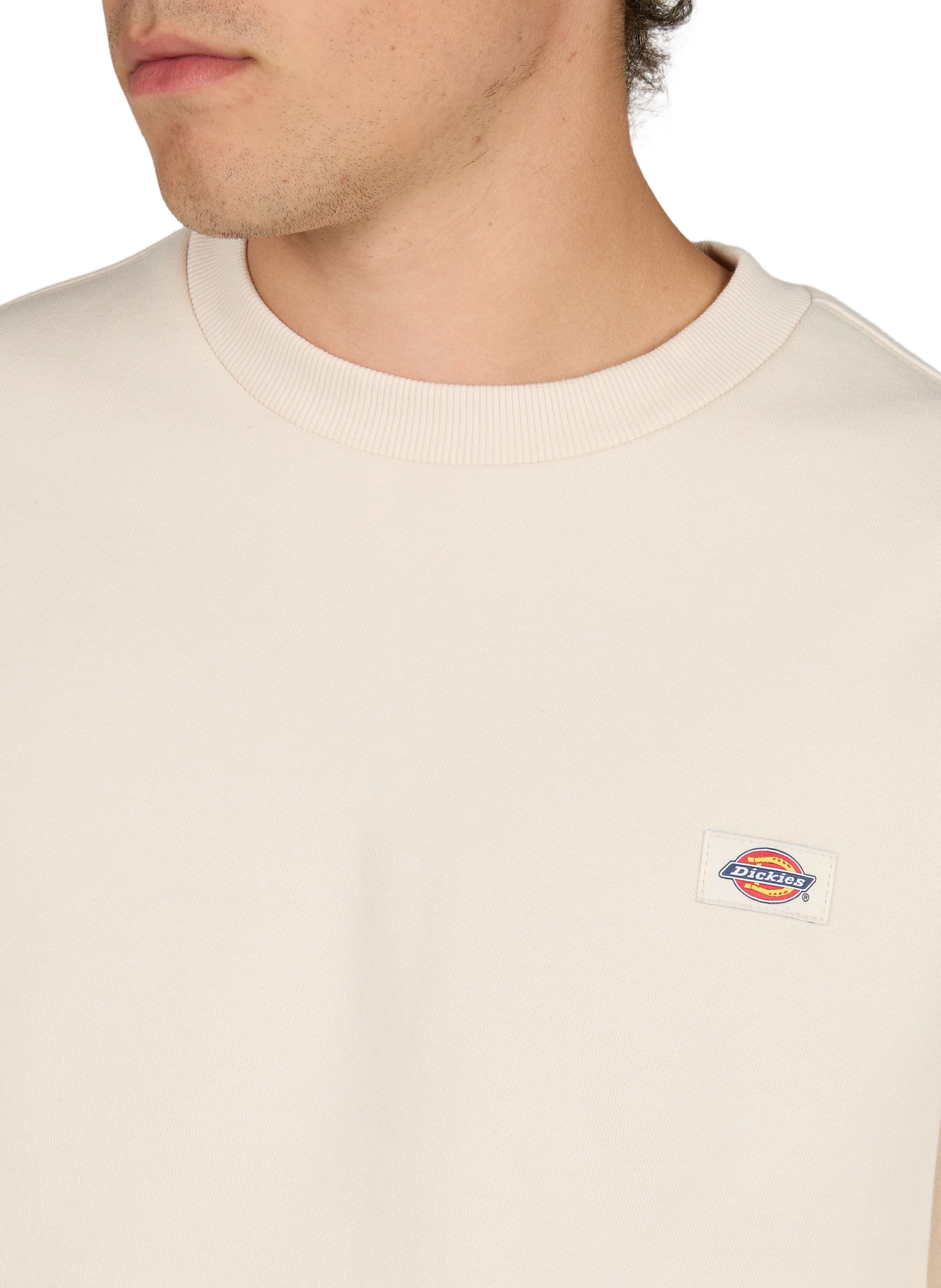 Sweat Oakport S in gerader Passform aus Baumwollmischung DICKIES Beige