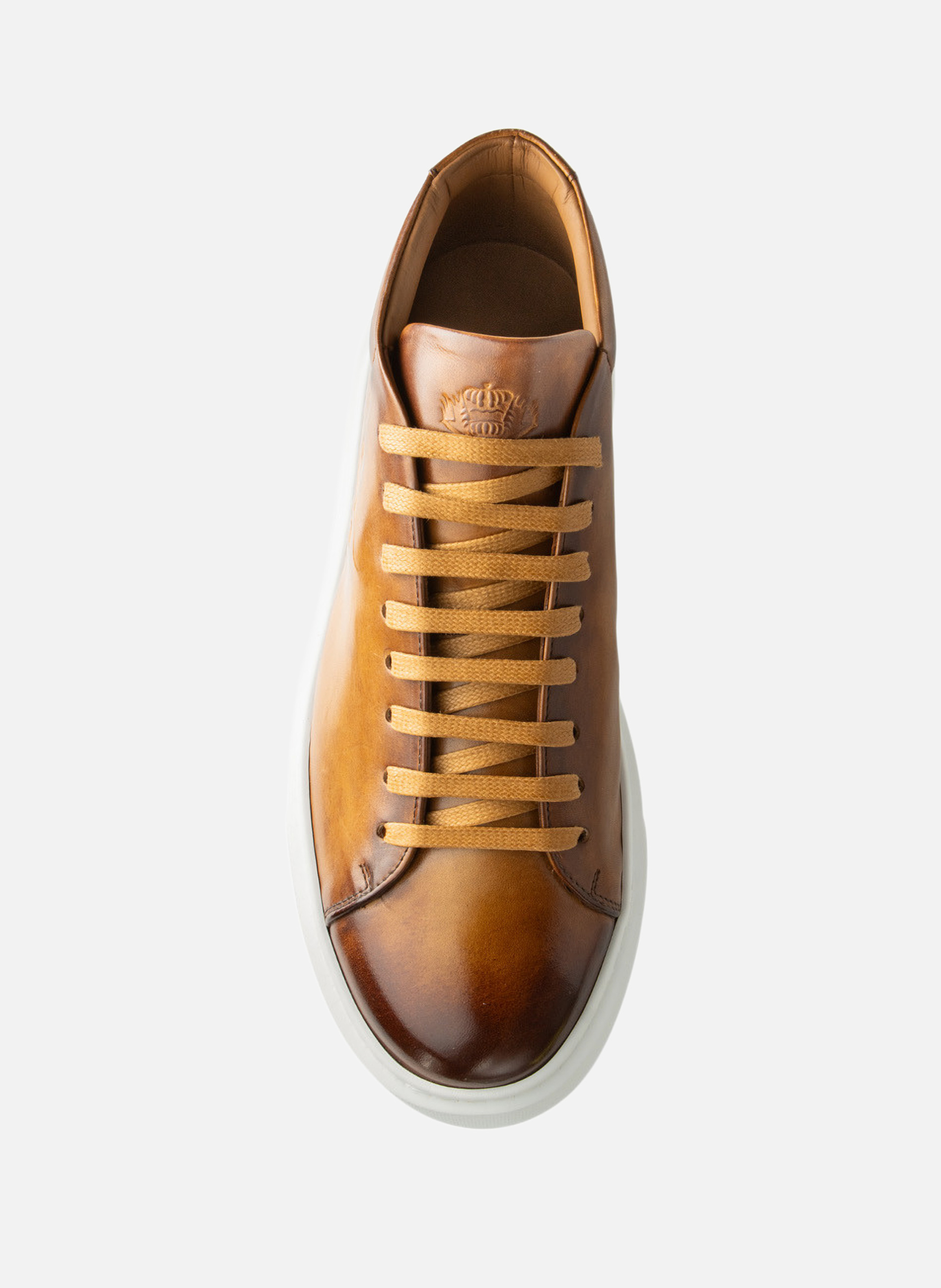 Sneakers montante modena FINSBURY Marron