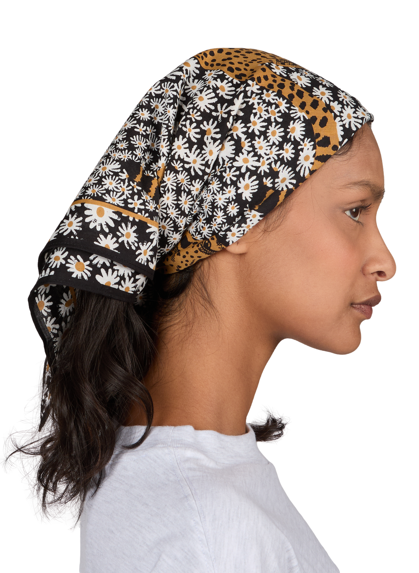 Leopard print scarf INOUITOOSH Black