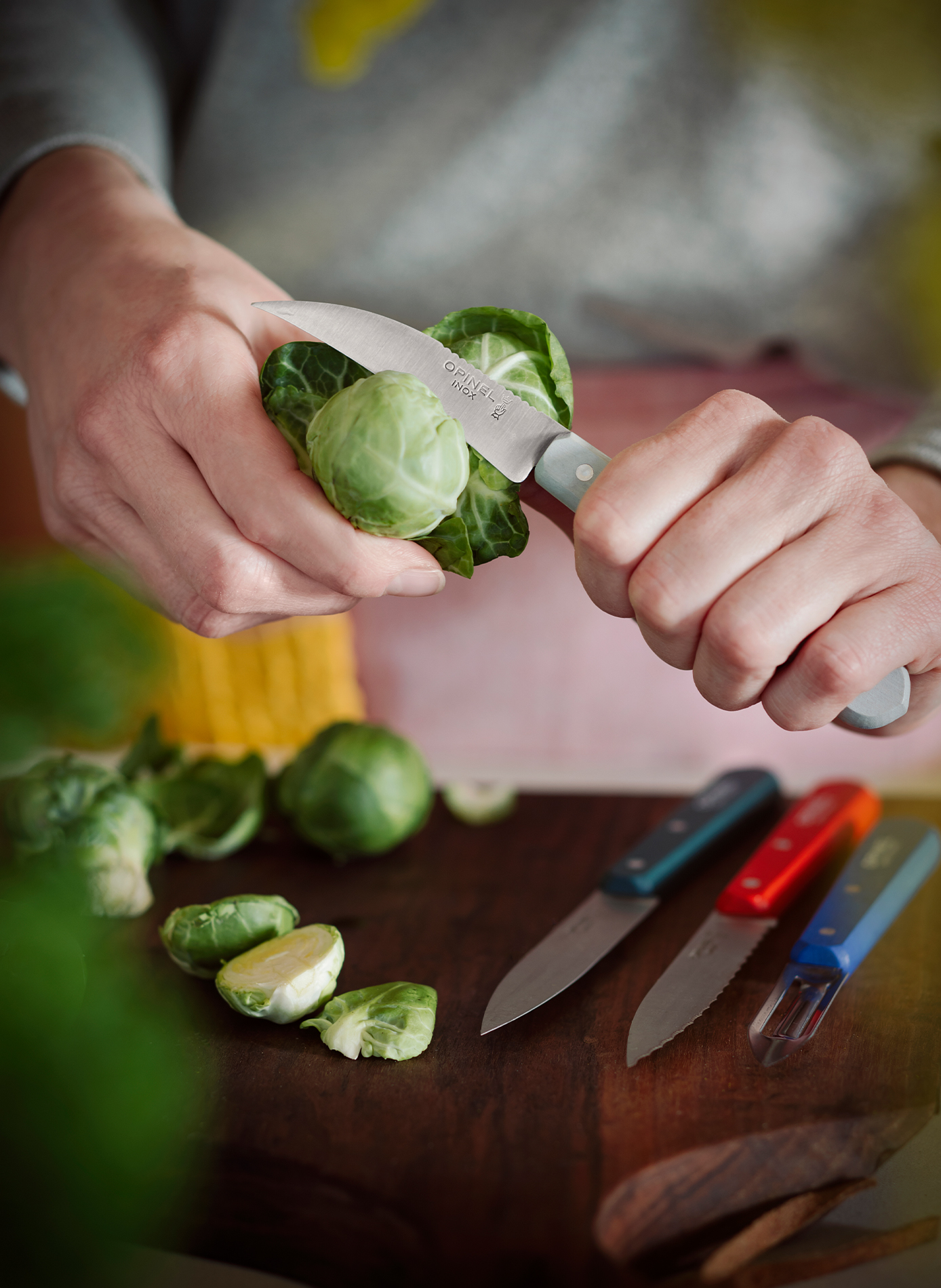 Set aus 3 Messern und 1 Schäler Die Essentials OPINEL Mehrfarbig