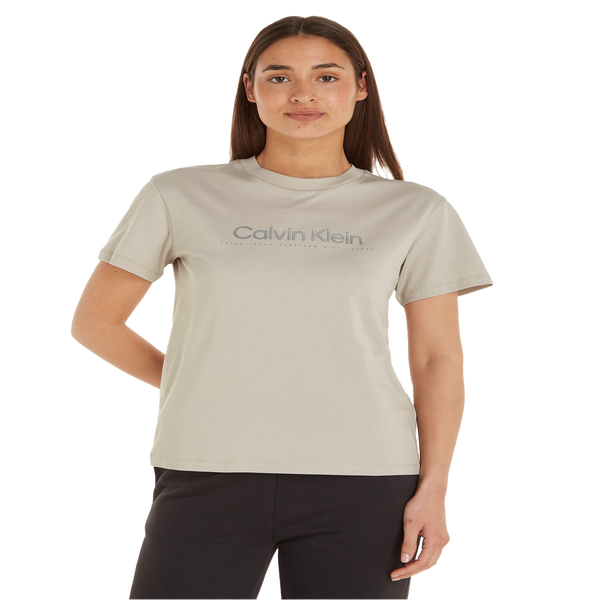 Calvin Klein Logo T-shirt In Grey