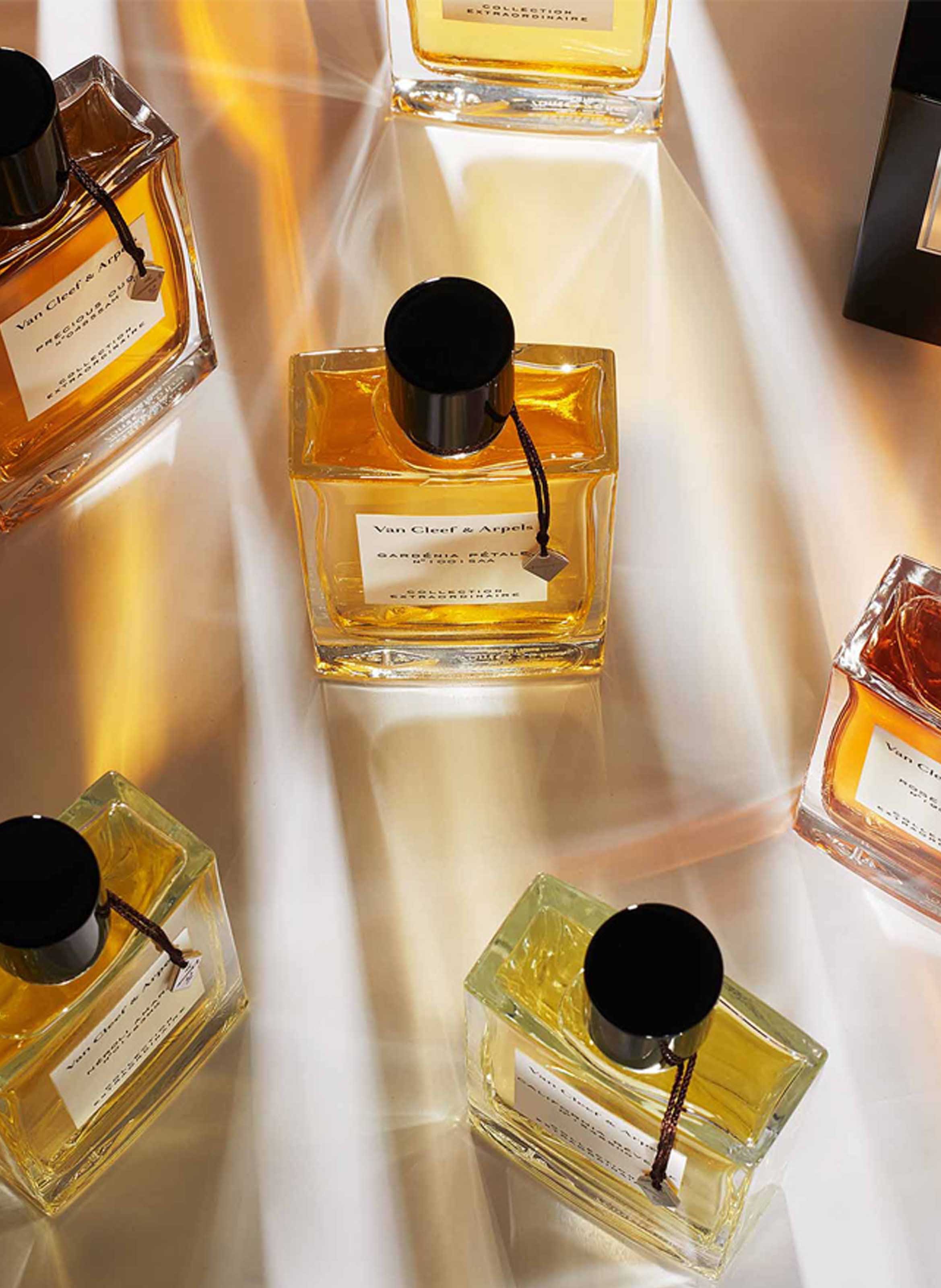 Imperial Amber - Eau de Parfum VAN CLEEF & ARPELS No color