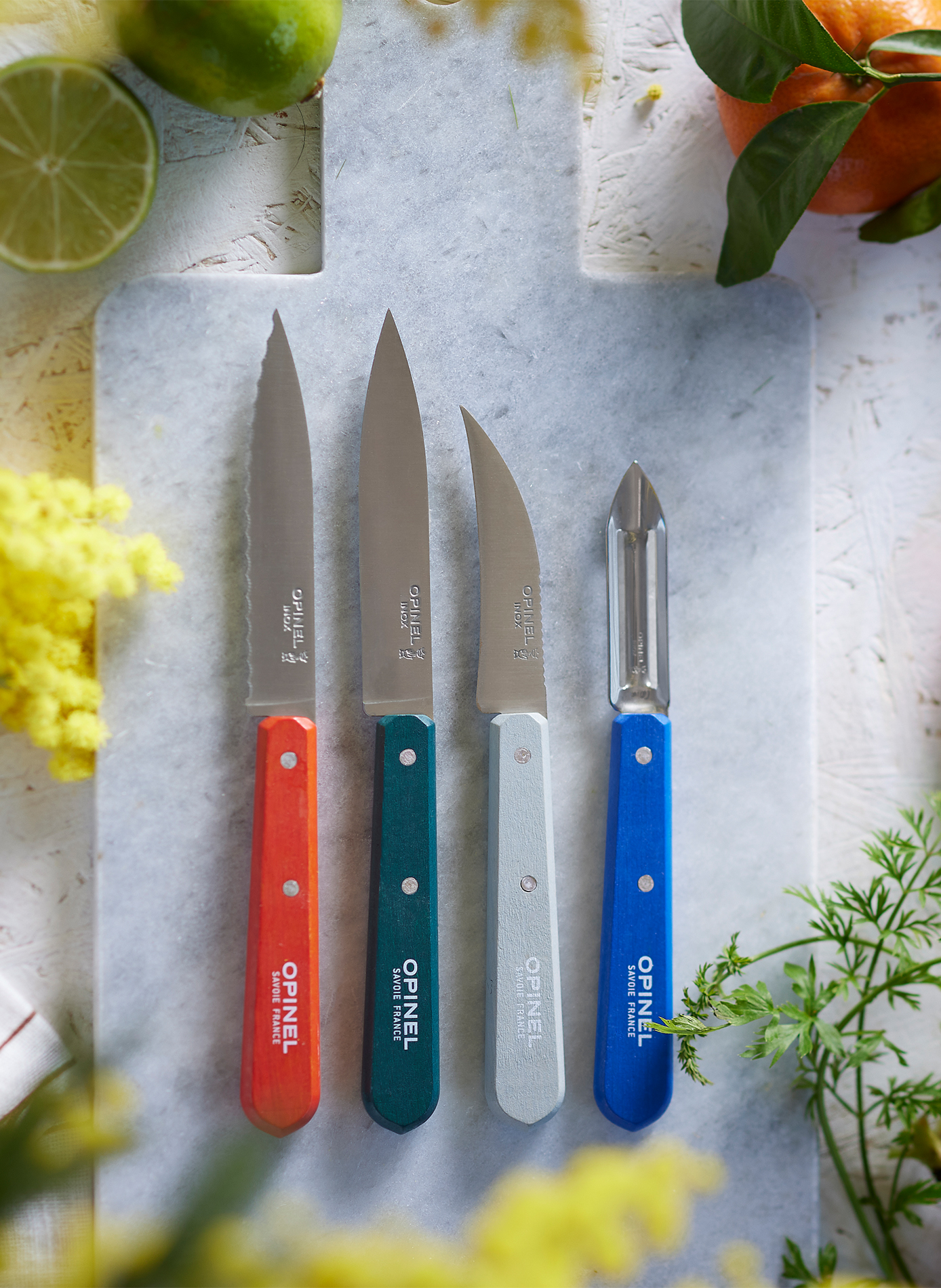 Set aus 3 Messern und 1 Schäler Die Essentials OPINEL Mehrfarbig