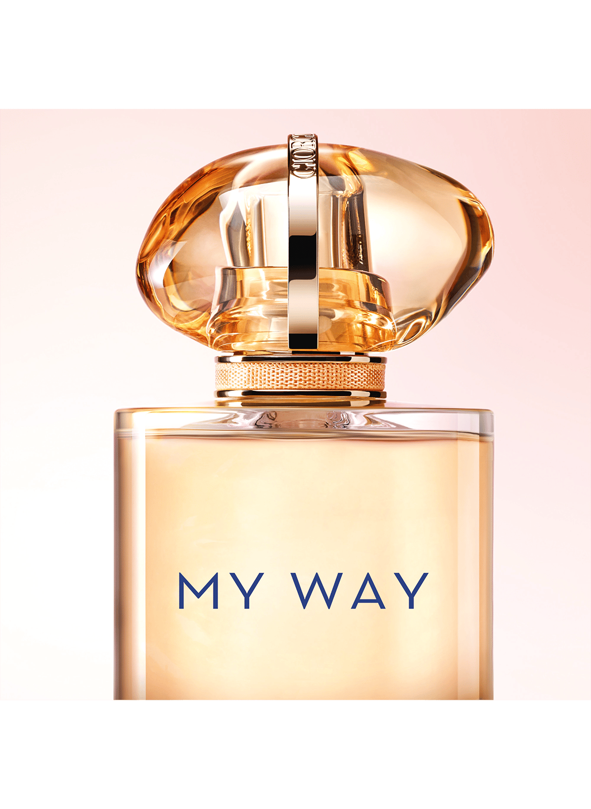 My Way Eau de Parfum fruity floral for women - Notes of pineapple, tuberose, jasmine, and vanilla ARMANI No color