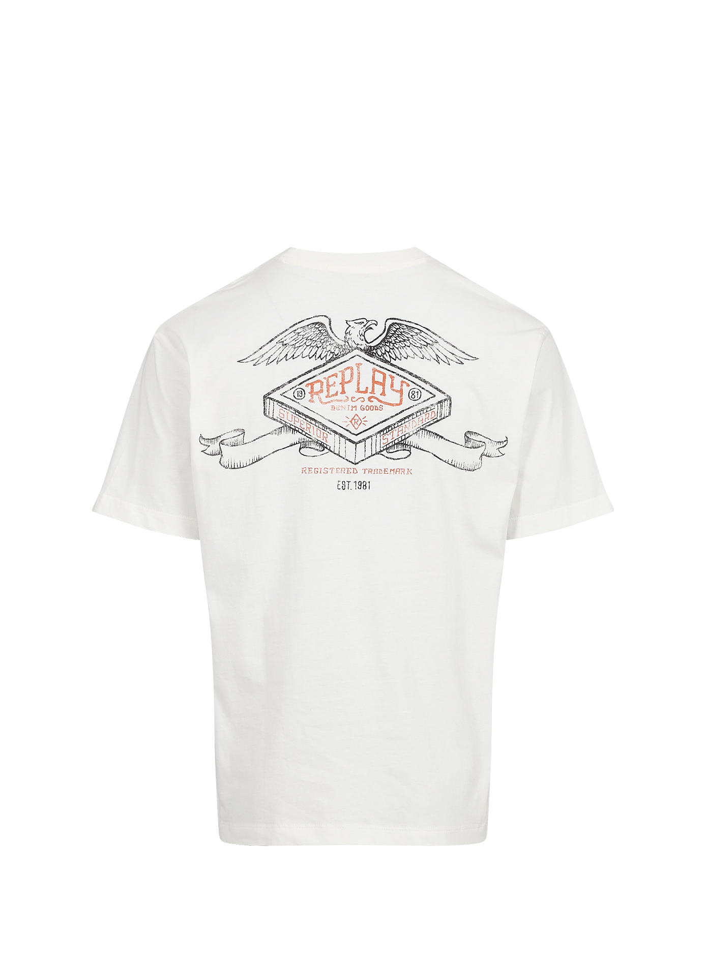 Oversized round neck cotton screen-printed t-shirt REPLAY Beige