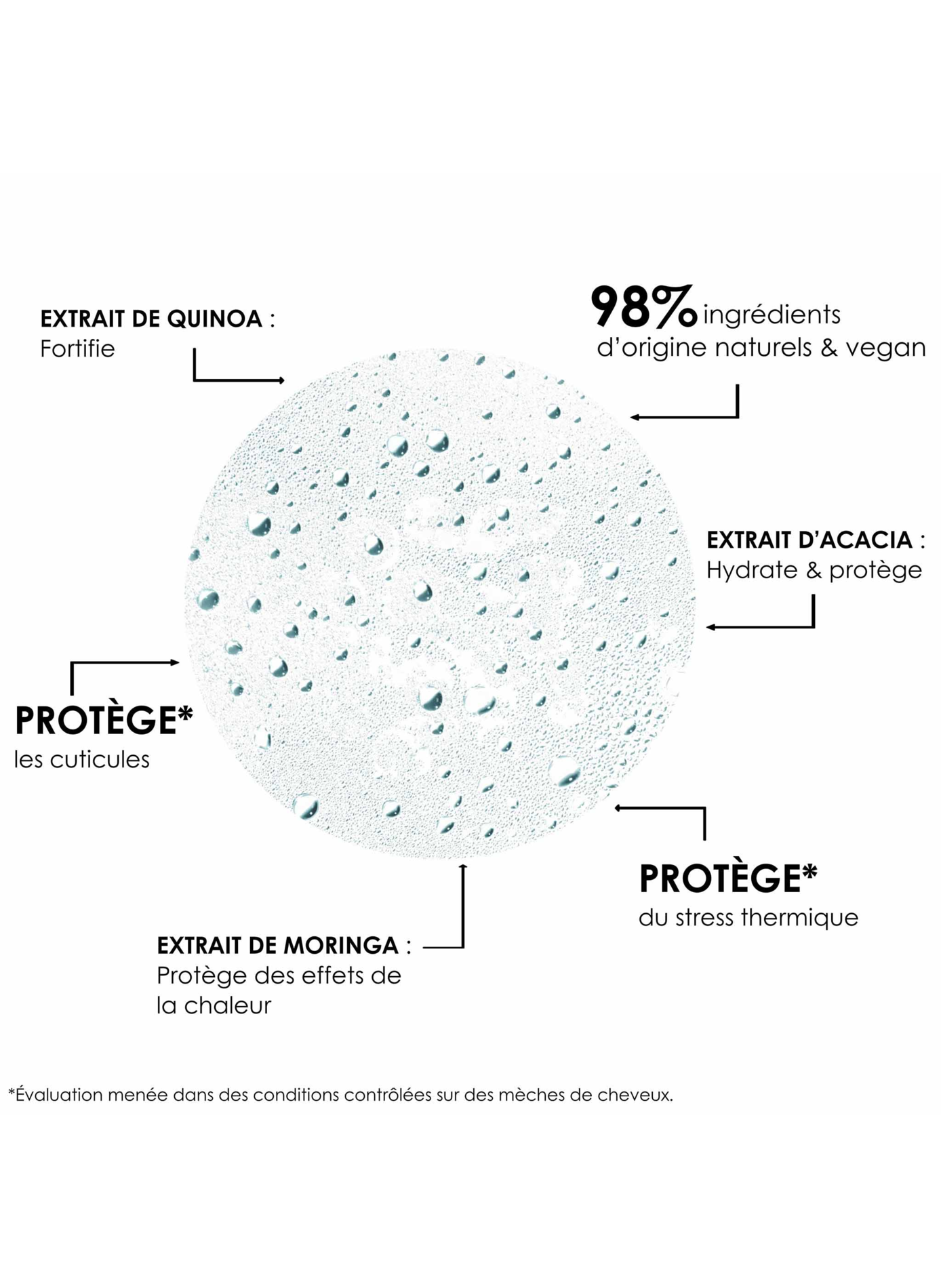 Condition Naturelle LEONOR GREYL No color