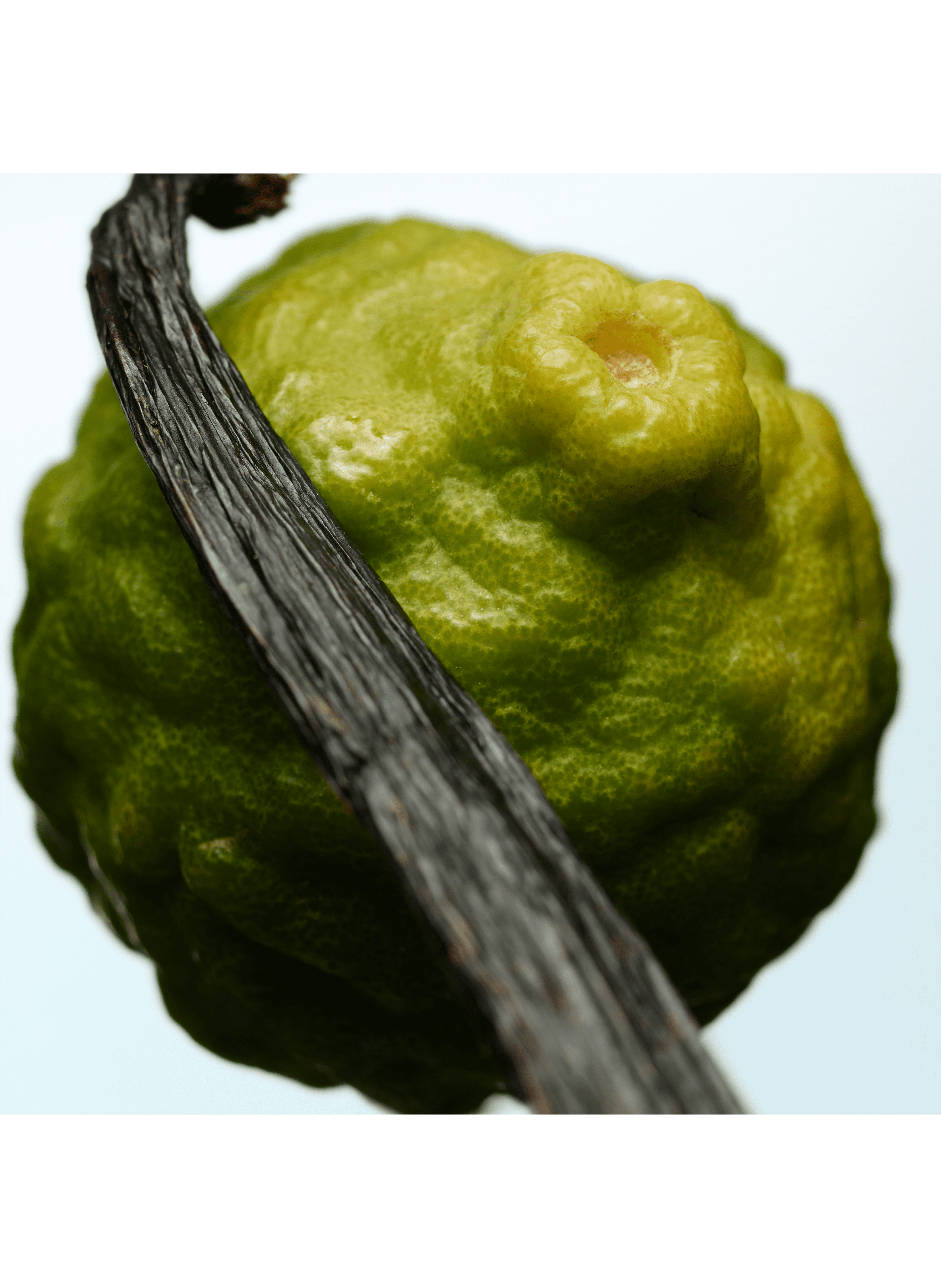 Sur Ma Peau Cologne - Eau de toilette DRIES VAN NOTEN No color