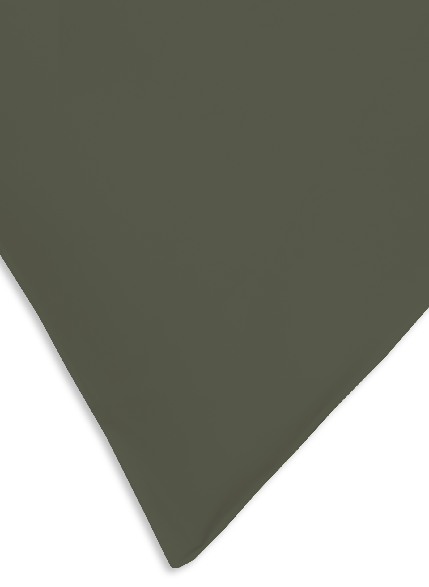 Taie d'oreiller en satin lavé AU PRINTEMPS PARIS Vert