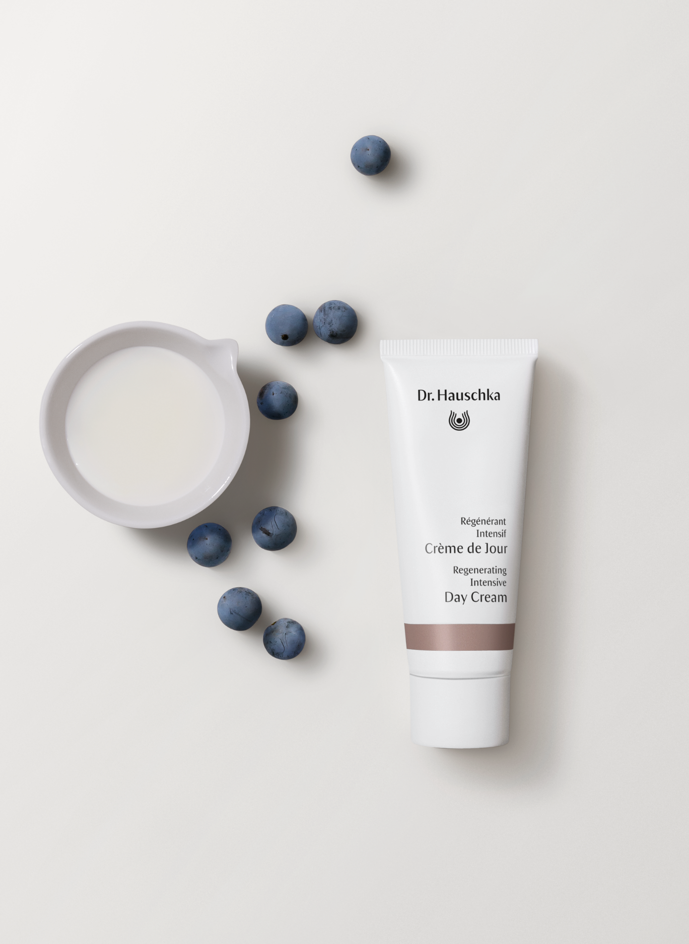 Crème de Jour - Régénérant Intensif DR HAUSCHKA No color