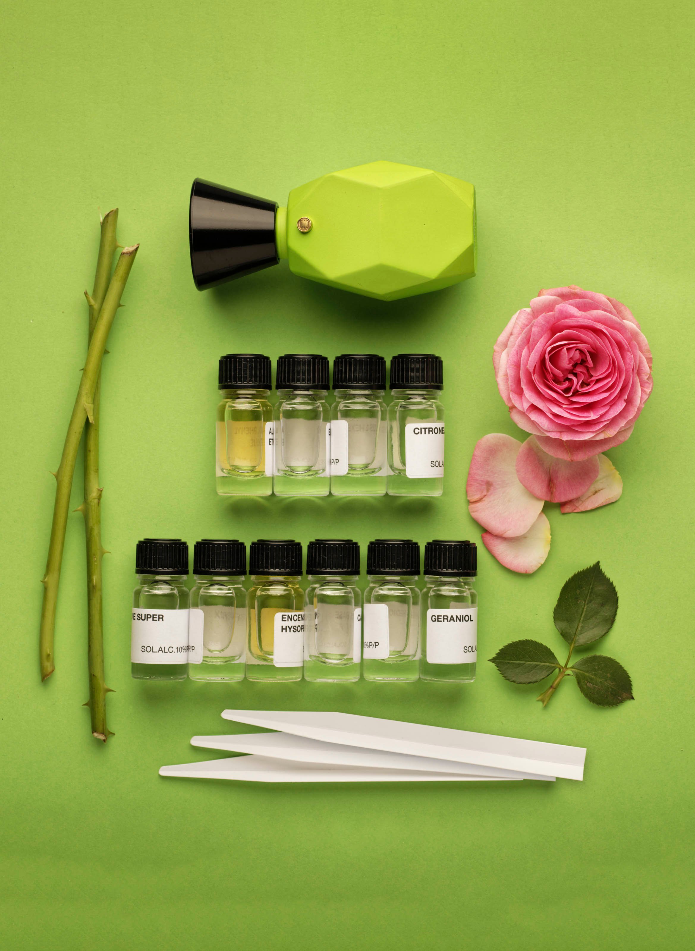 Rosamonda perfume J.U.S No color