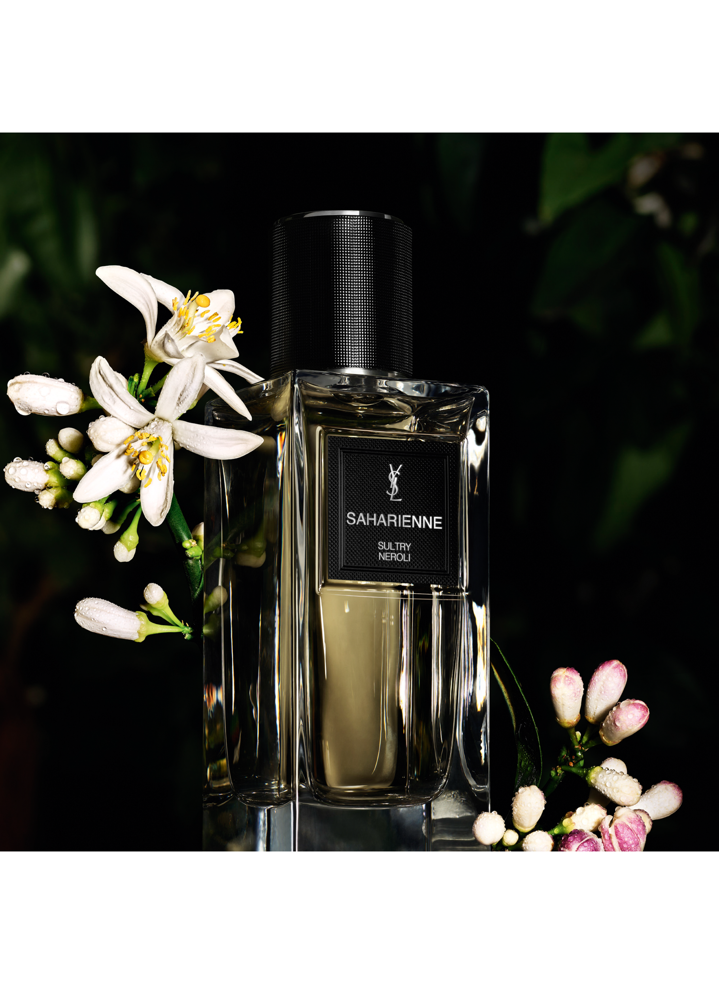 Saharienne - The Fragrance Wardrobe - Eau de Parfum No color