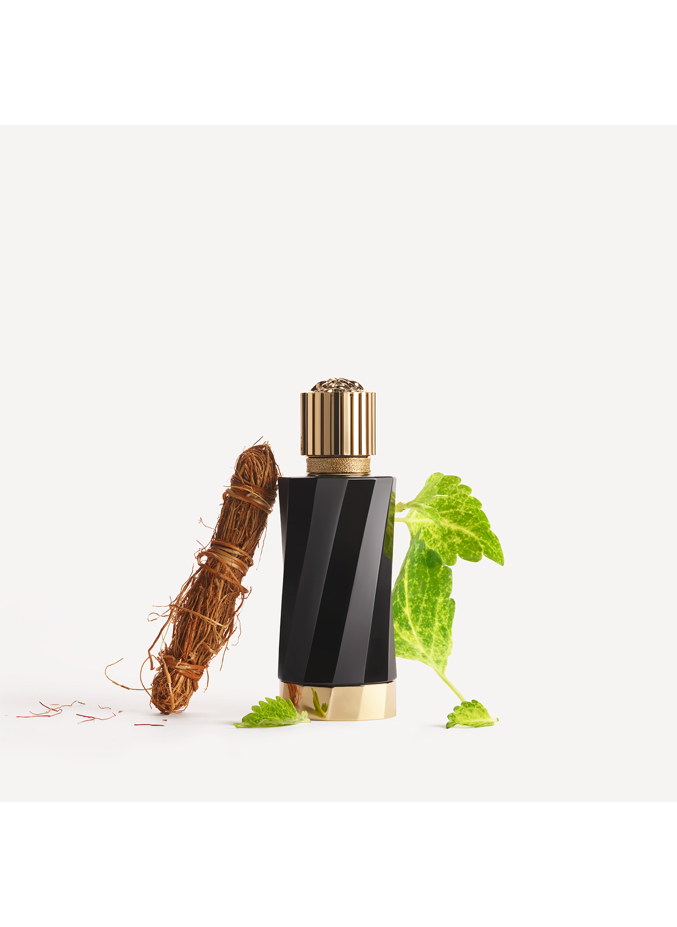 Royal Saffron VERSACE No color