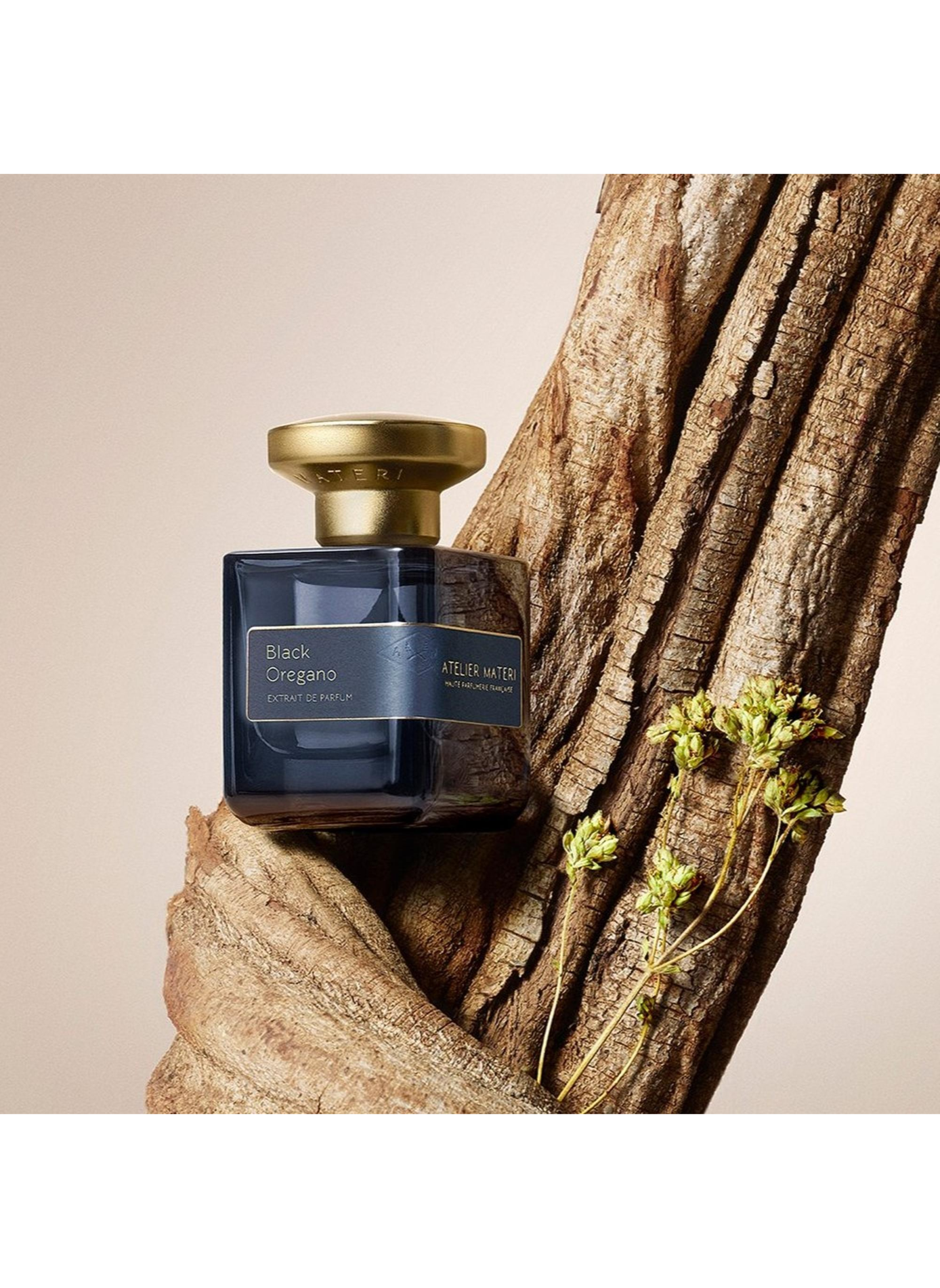 Extract de Parfum - Zwarte Oregano ATELIER MATERI No color