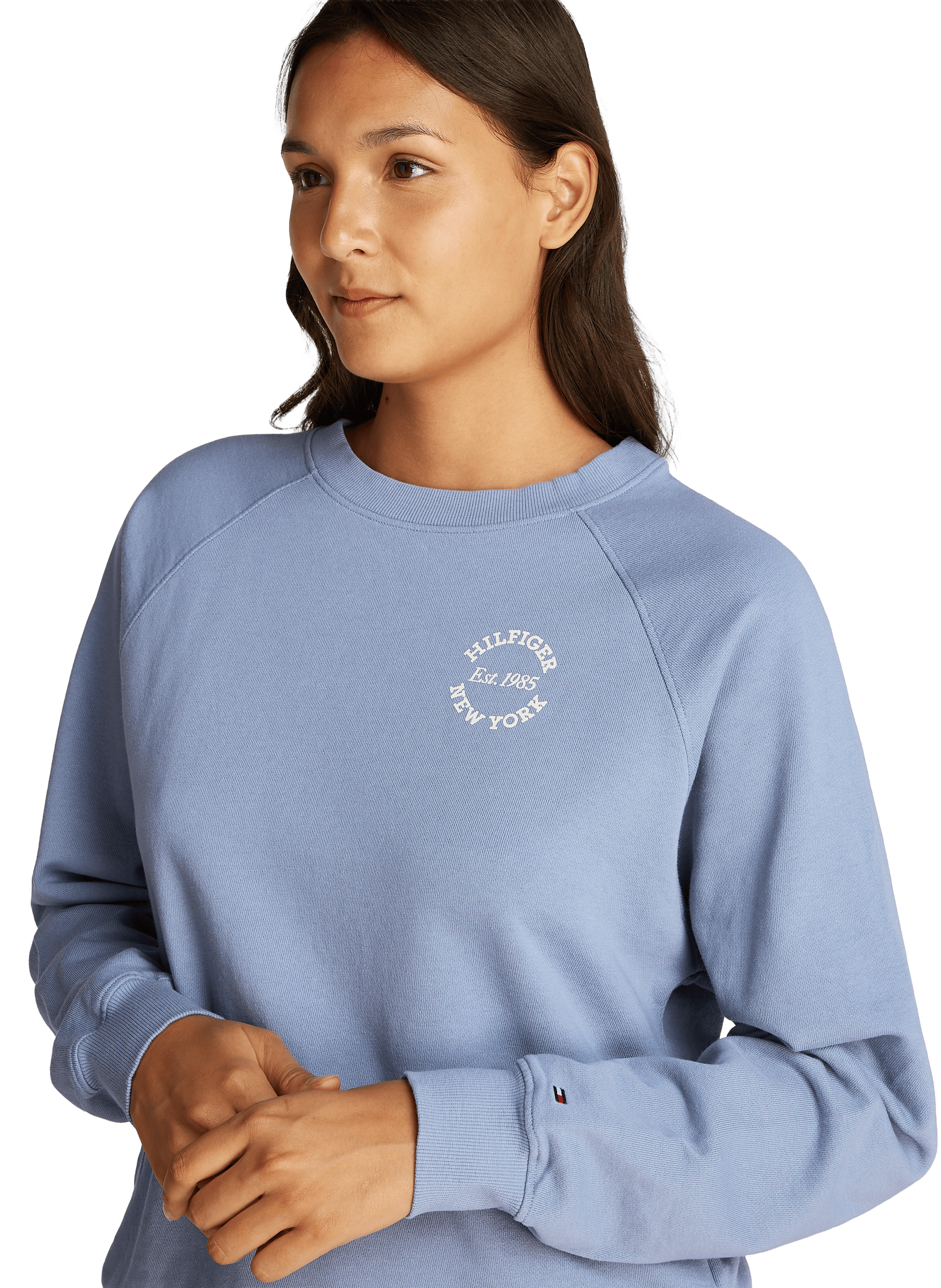 Plain sweatshirt with pattern TOMMY HILFIGER Blue