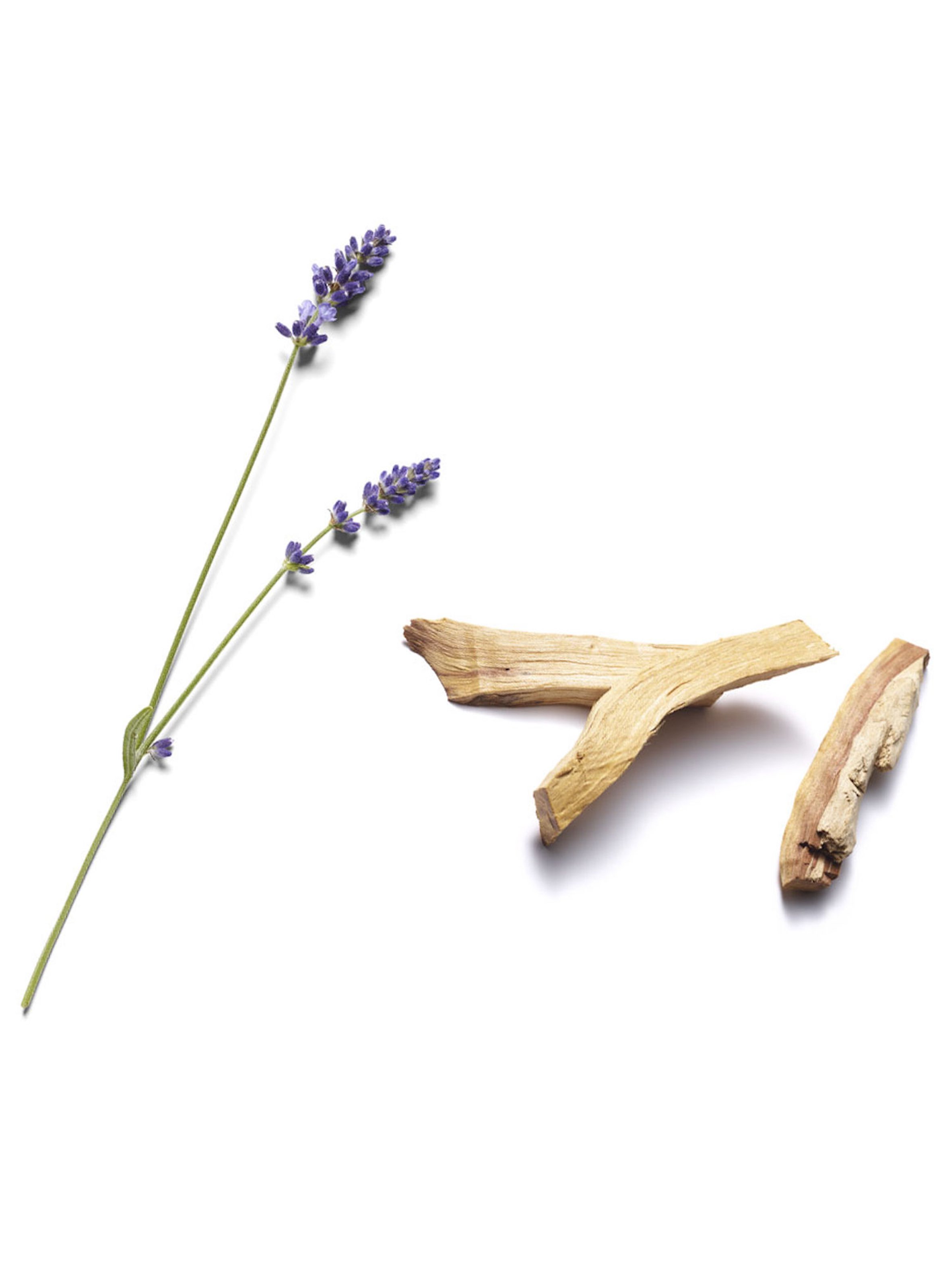 The Ritual of Jing - Shower Oil RITUALS No color