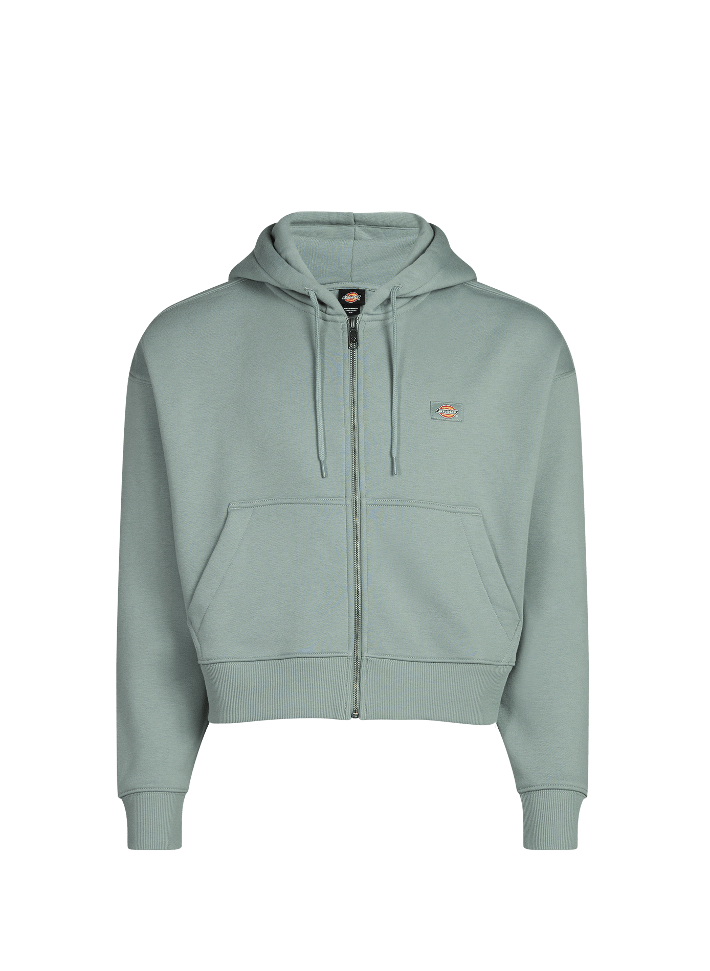 Hoodie à capuche en coton mélangé DICKIES Bleu