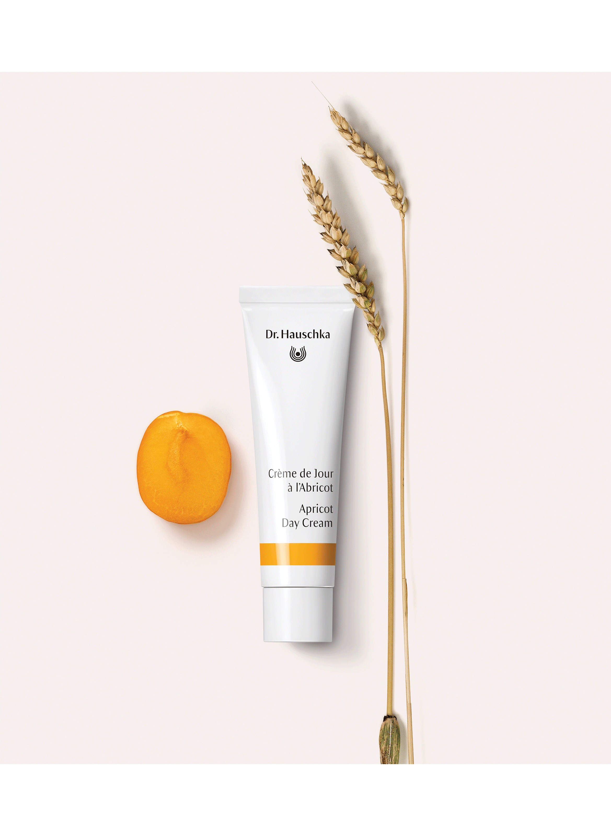 Crème de jour à l'abricot DR HAUSCHKA No color