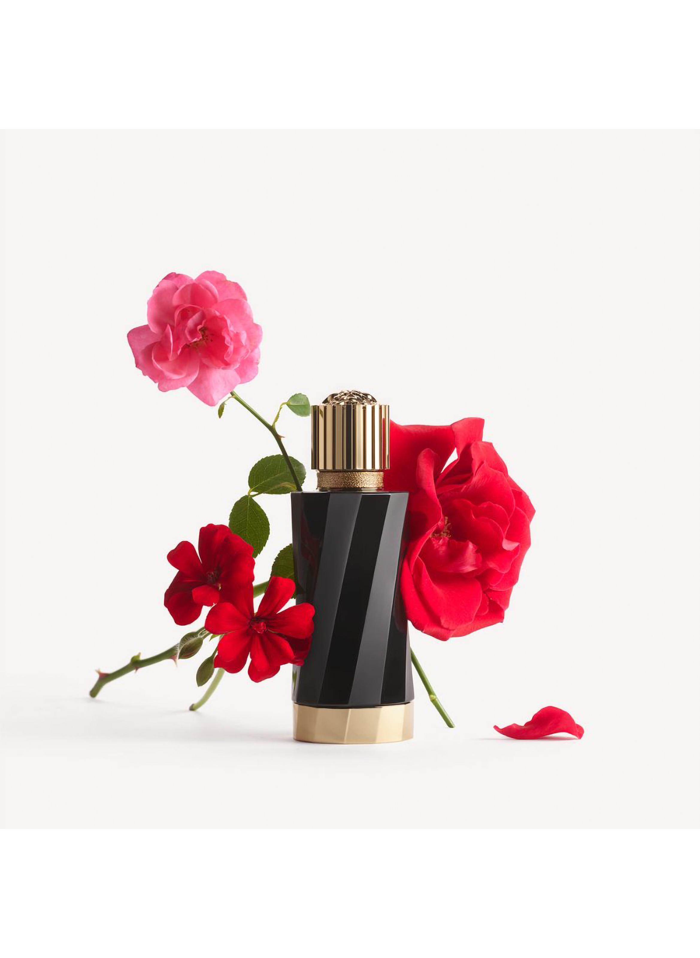 Flamboyant Rose VERSACE No color