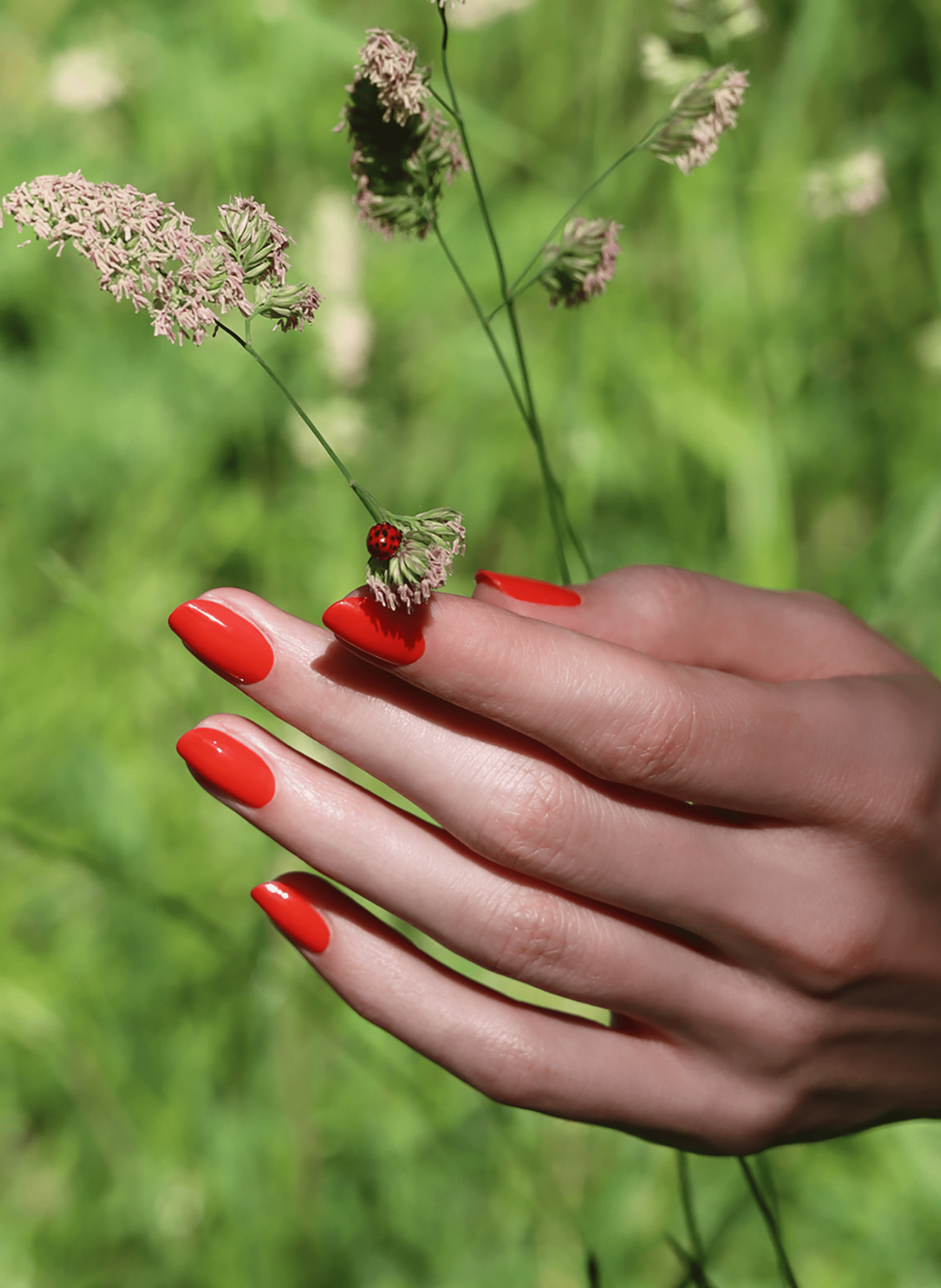 Vernis Green MANUCURIST Red coral