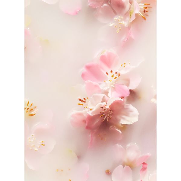 The ritual of Sakura - Recharge bâtonnets parfumés