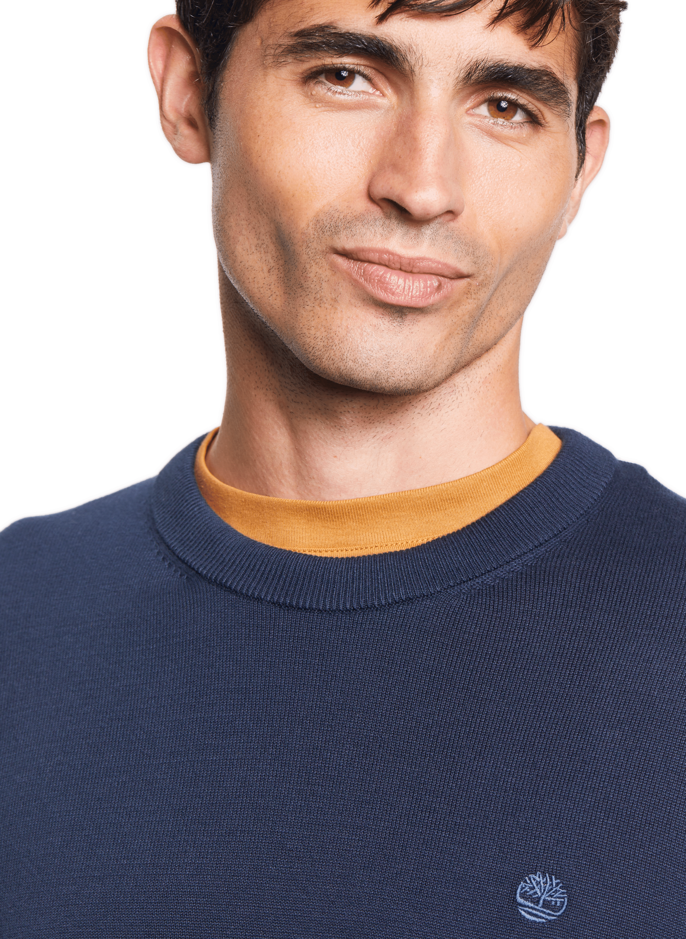 Cotton jumper TIMBERLAND Blue