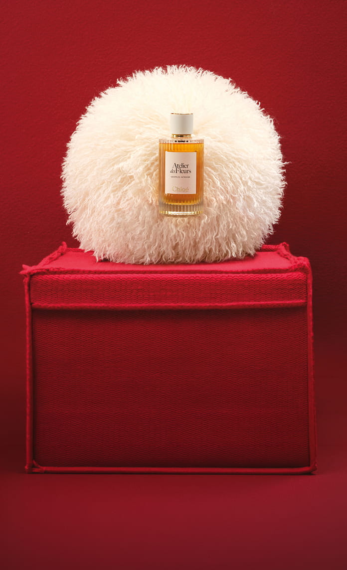 Beauty Gift Ideas
