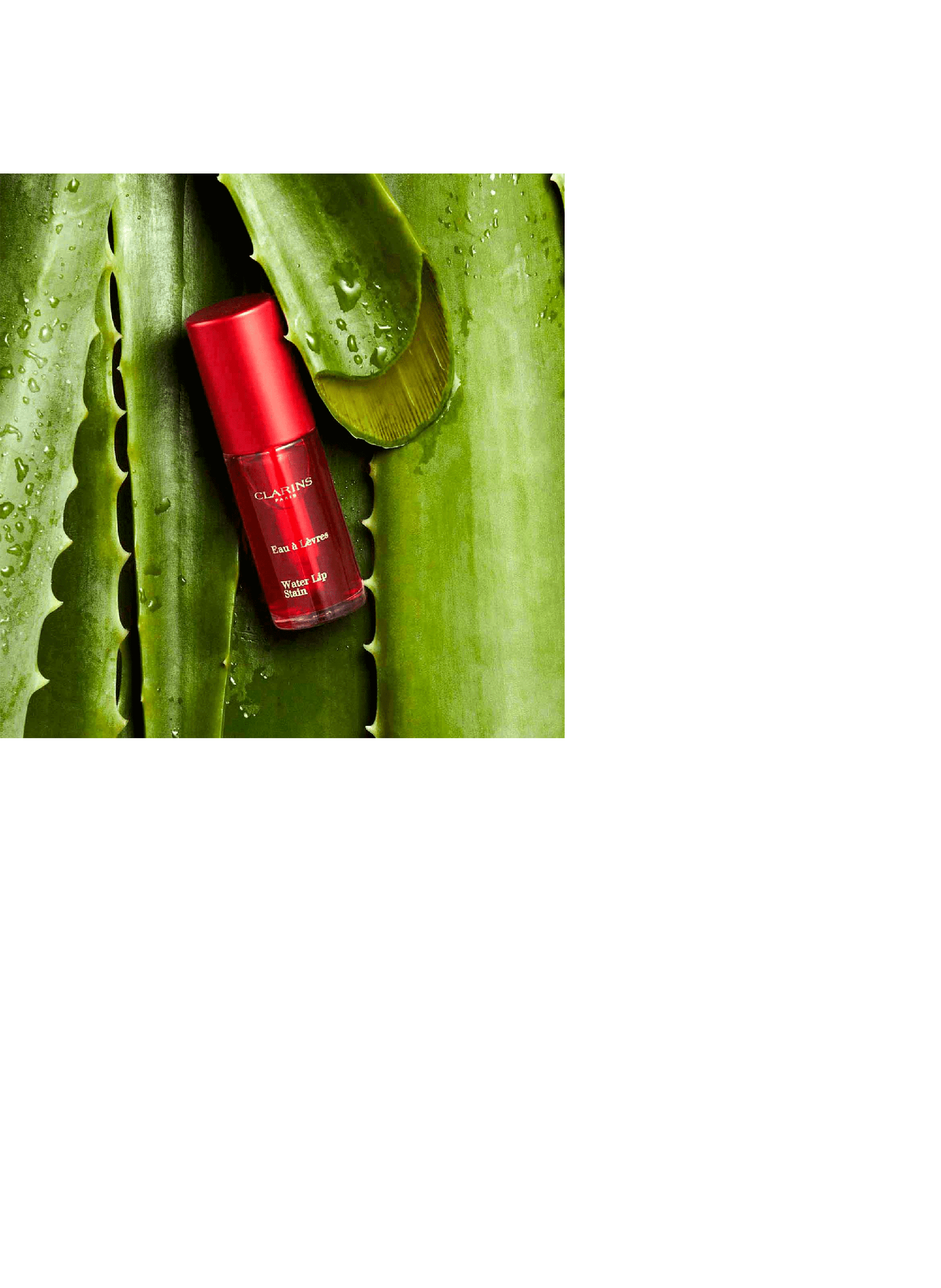 Water Lip Stain - Lipstick CLARINS 09 - deep red water
