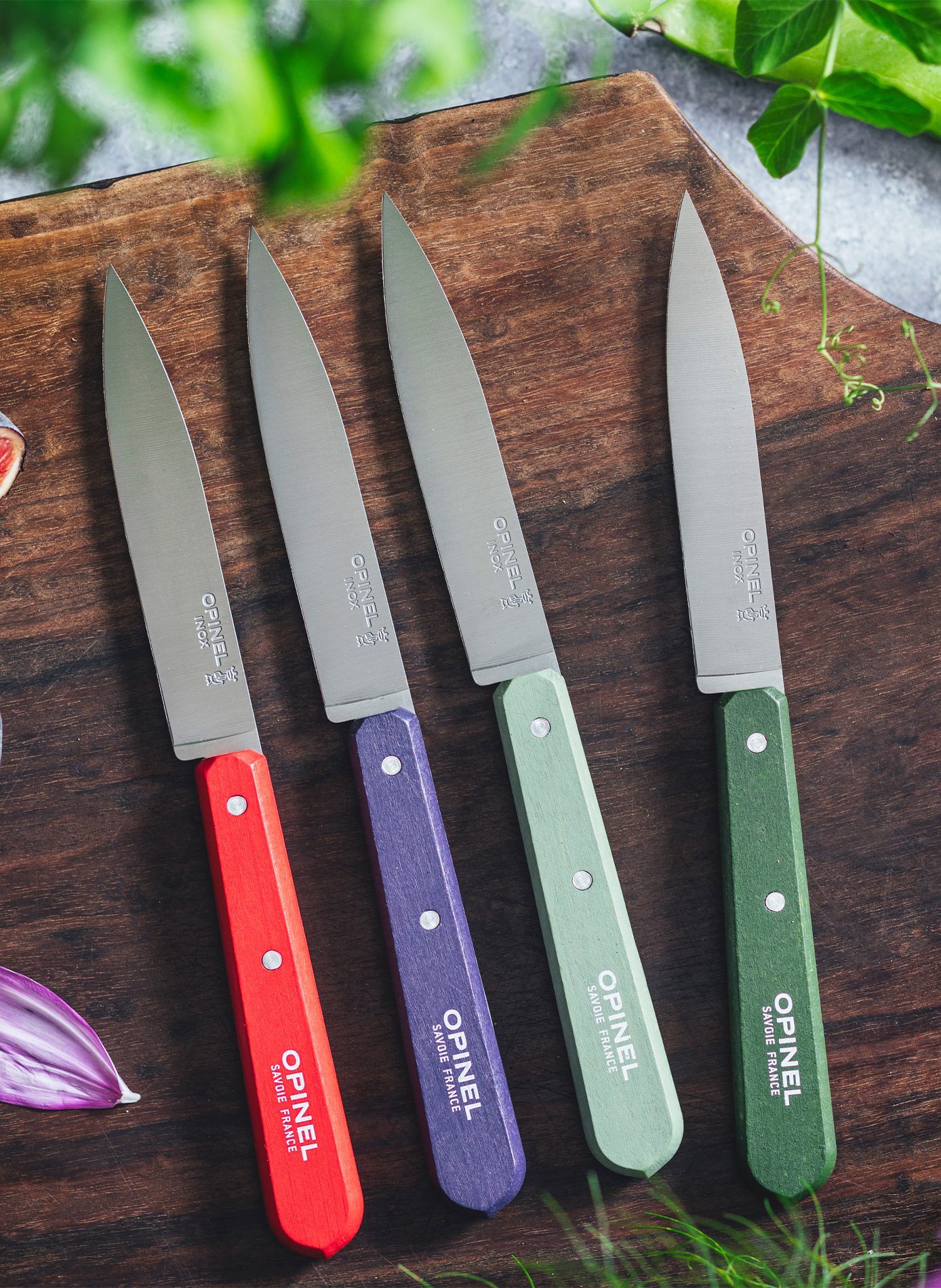 Couteau d'office en acier inoxydable OPINEL Vert