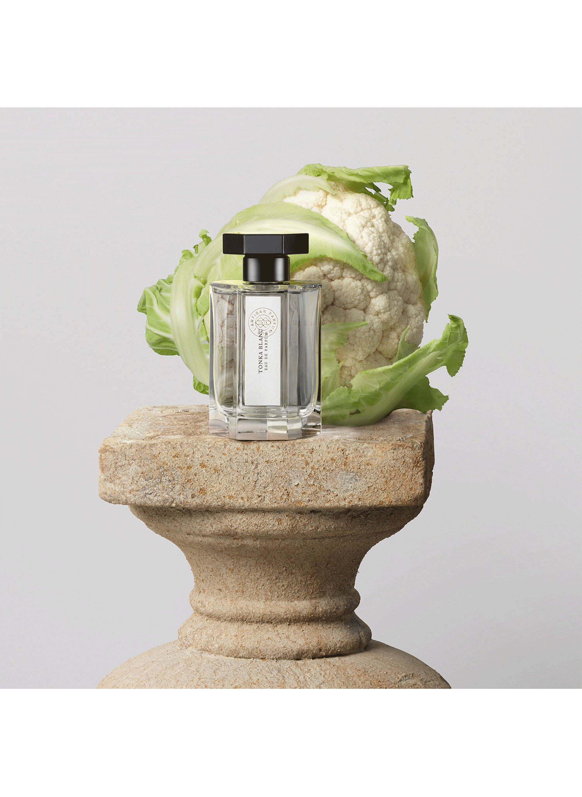 Tonka Blanc - Eau de cologne L'ARTISAN PARFUMEUR No color