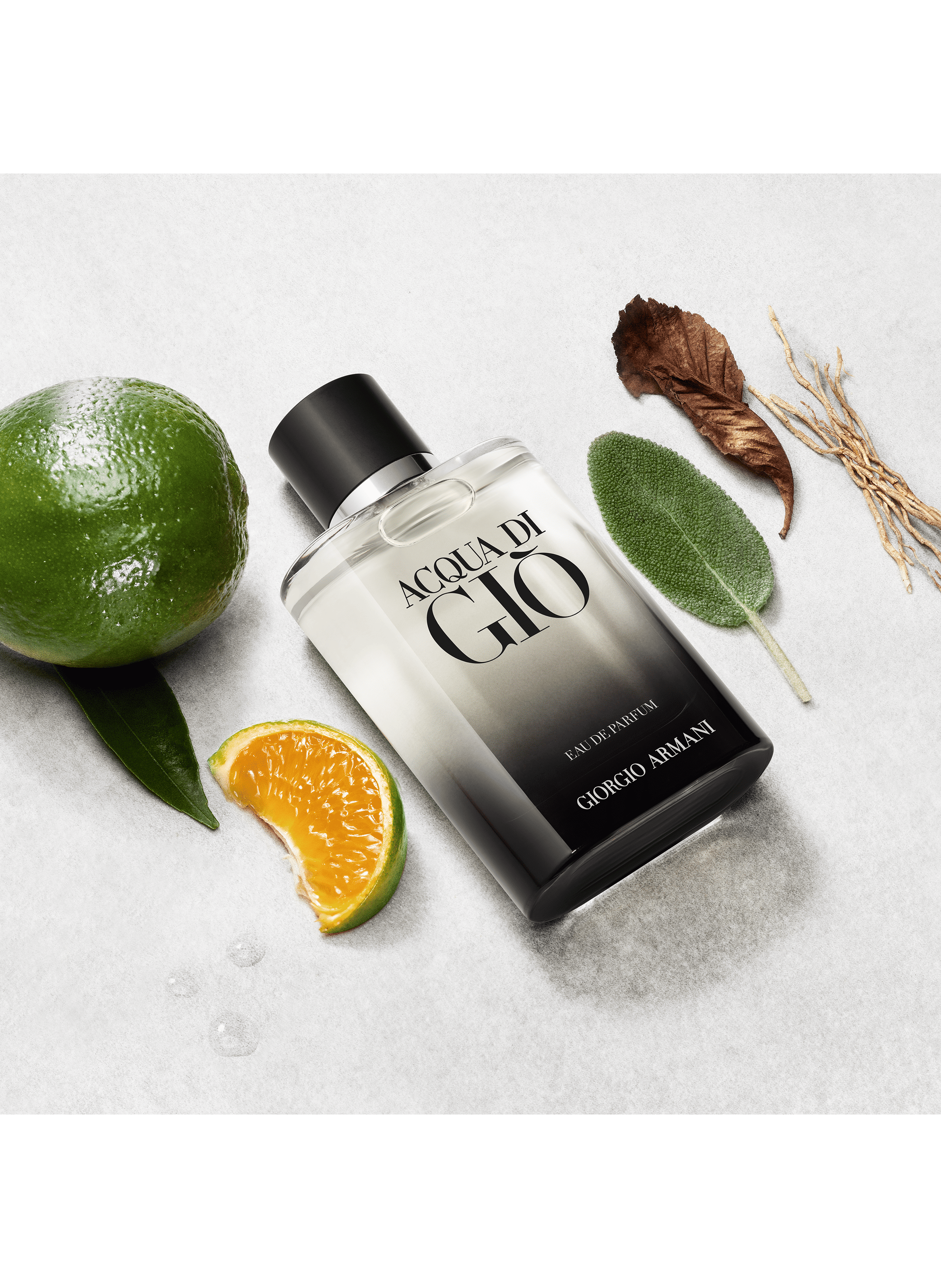 Acqua di Gio for Men - Eau de Parfum ARMANI No color