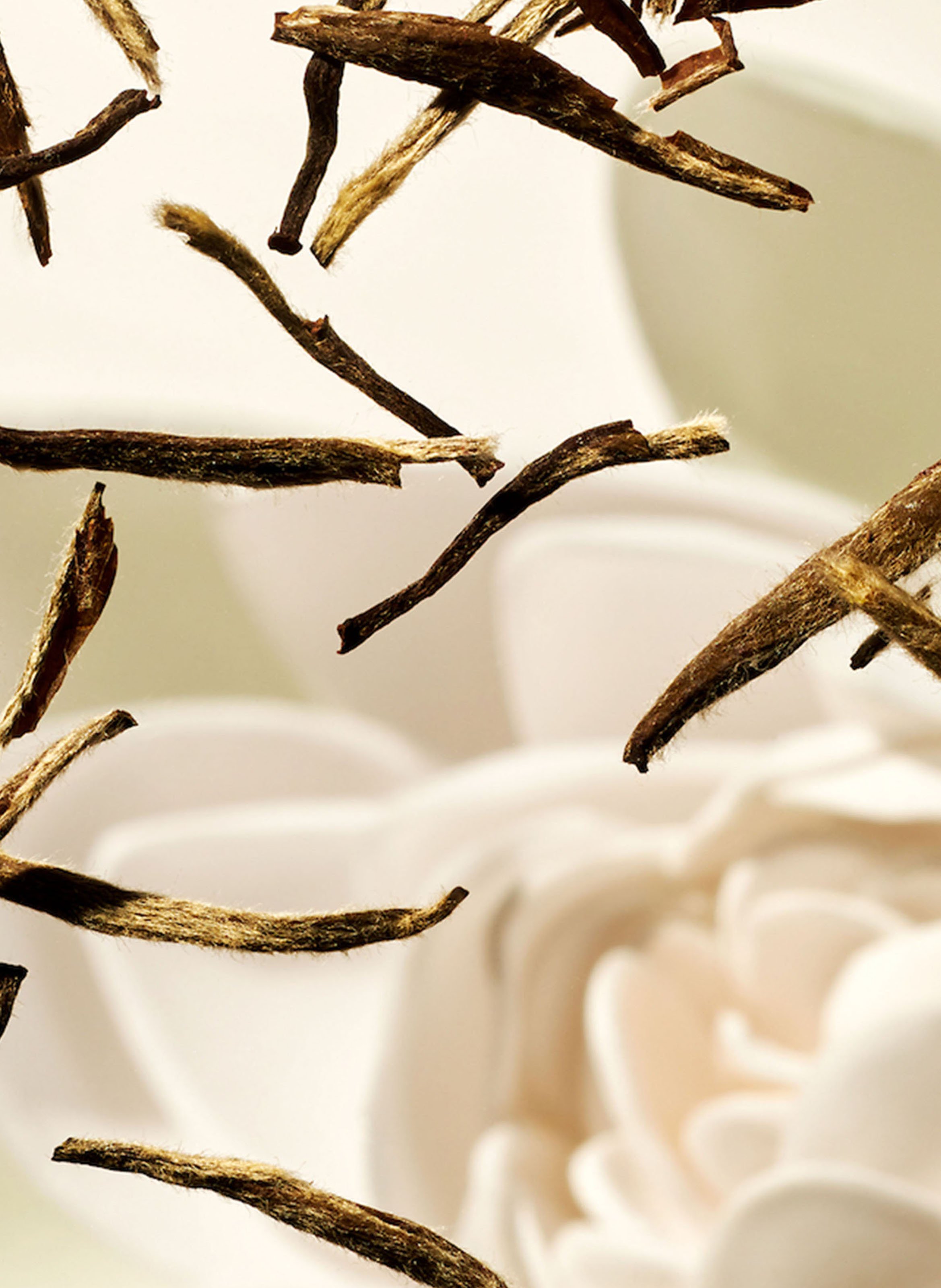 The Ritual of Karma - Caring Travel Set RITUALS No color