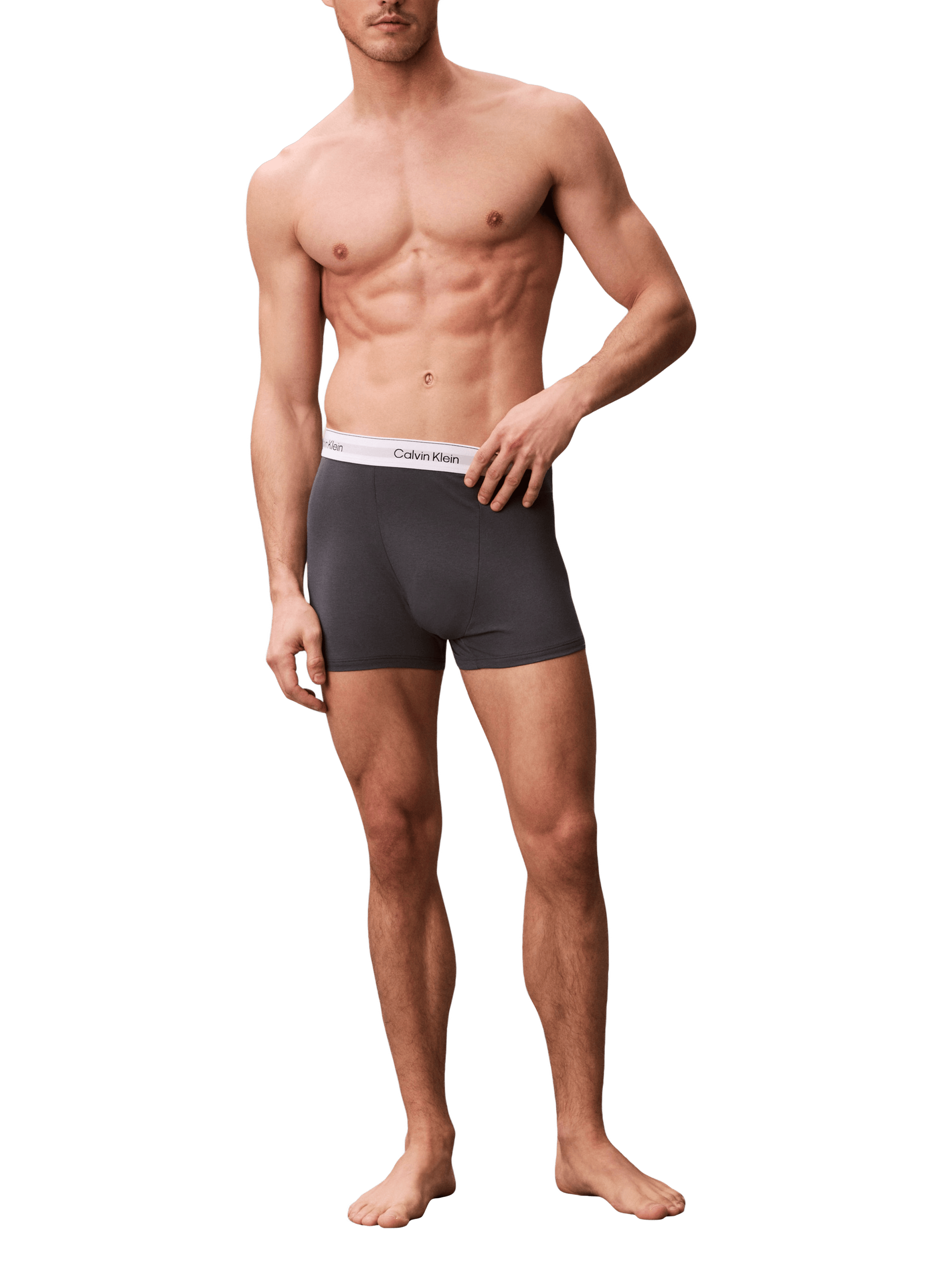 Lot de 3 boxers CALVIN KLEIN Multicolore