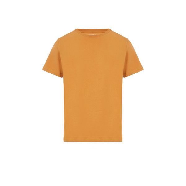 t-shirt en jersey de coton organique
