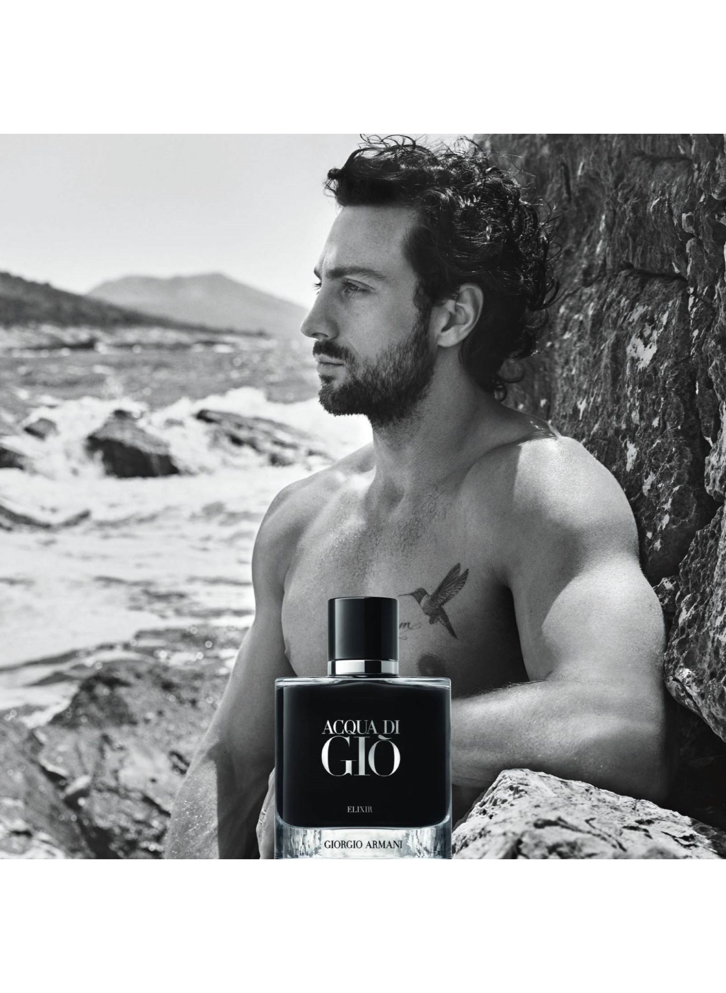 Acqua di Gio for Men - Perfume Elixir ARMANI No color