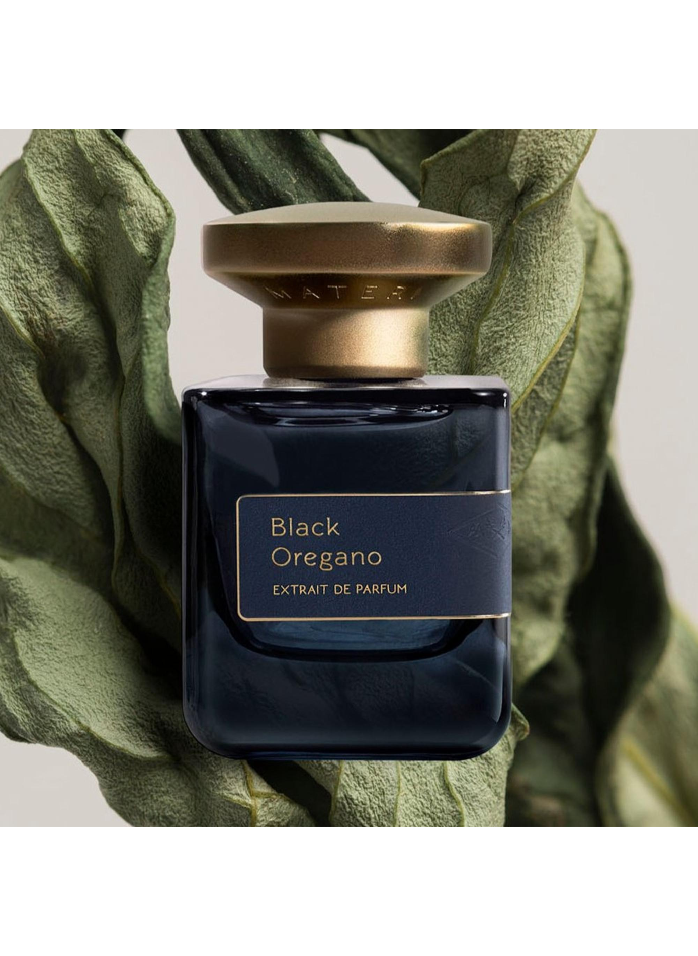 Extract de Parfum - Zwarte Oregano ATELIER MATERI No color