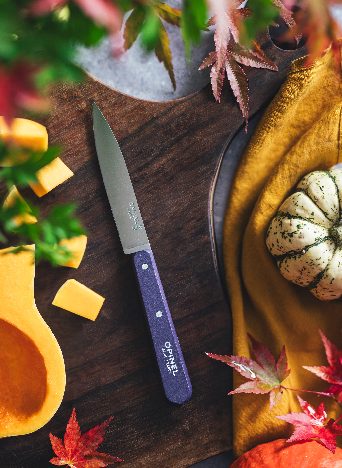 Coffret de 4 couteaux d'office OPINEL Multicolore