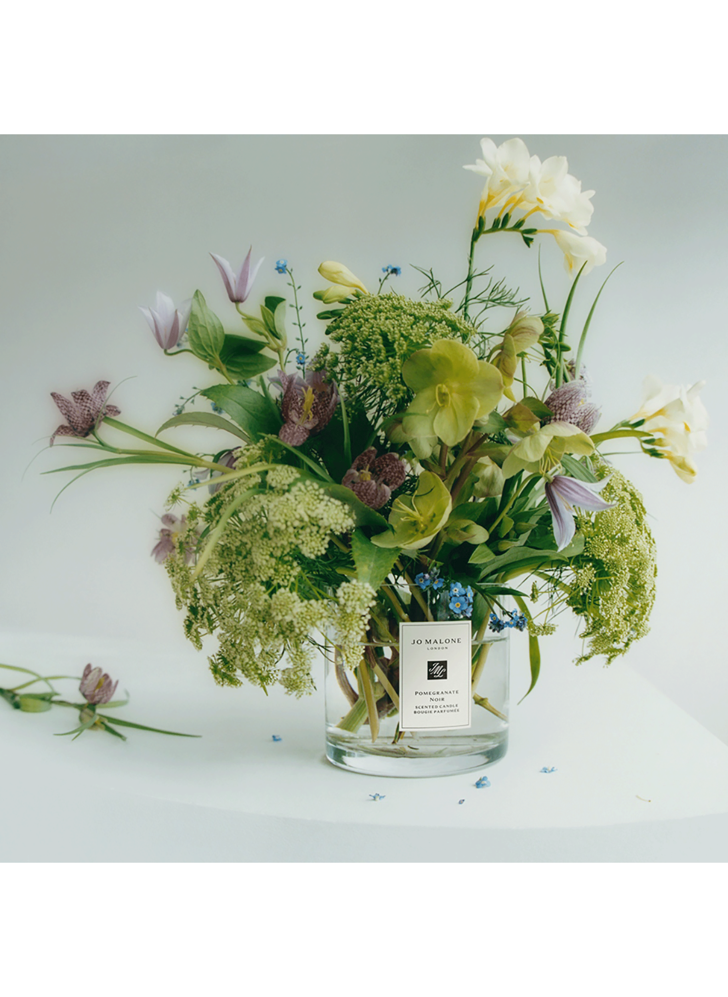 Lime Basil &amp; Mandarin - Scented Candle JO MALONE LONDON No color