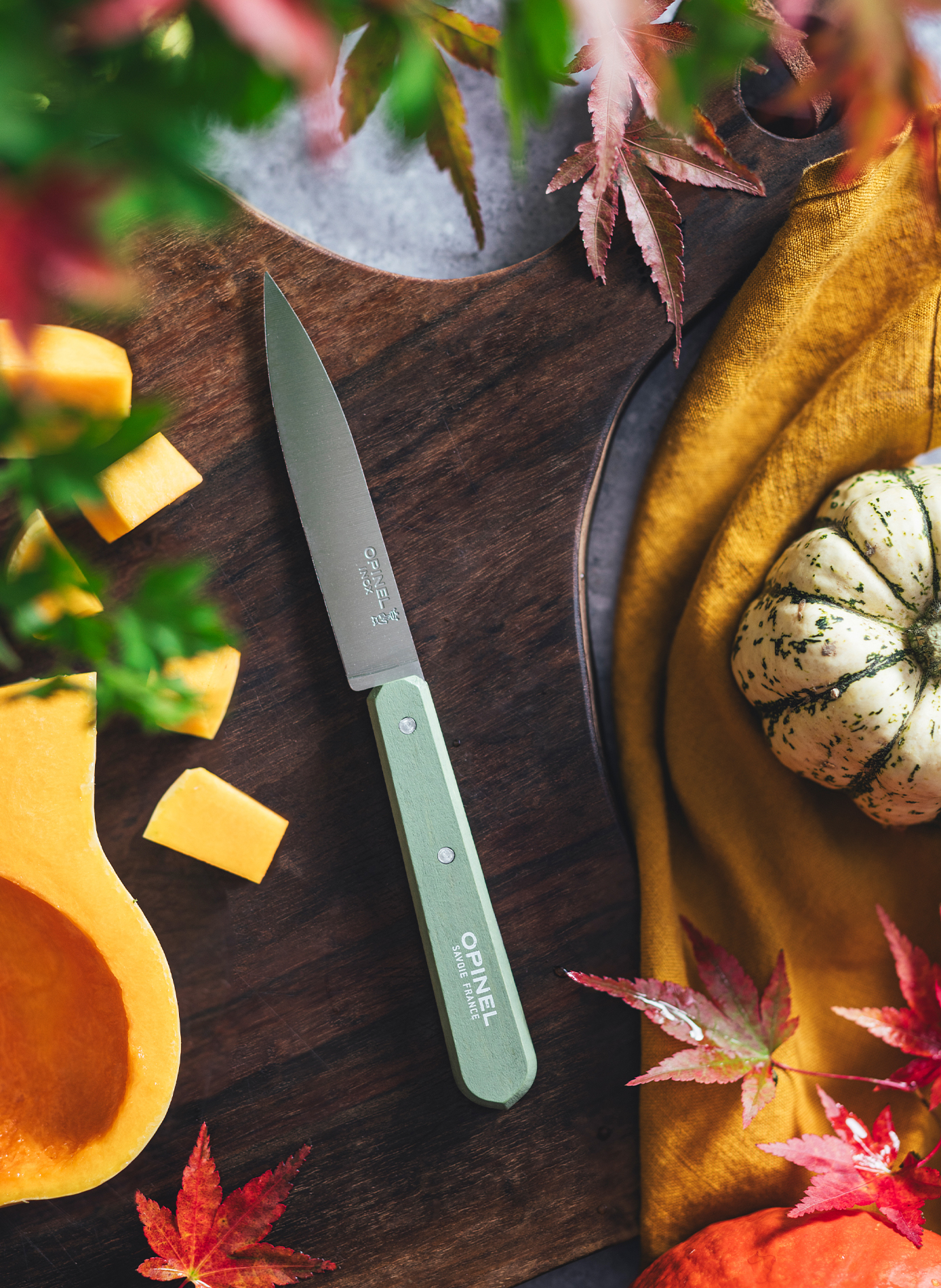 Coffret de 4 couteaux d'office OPINEL Multicolore