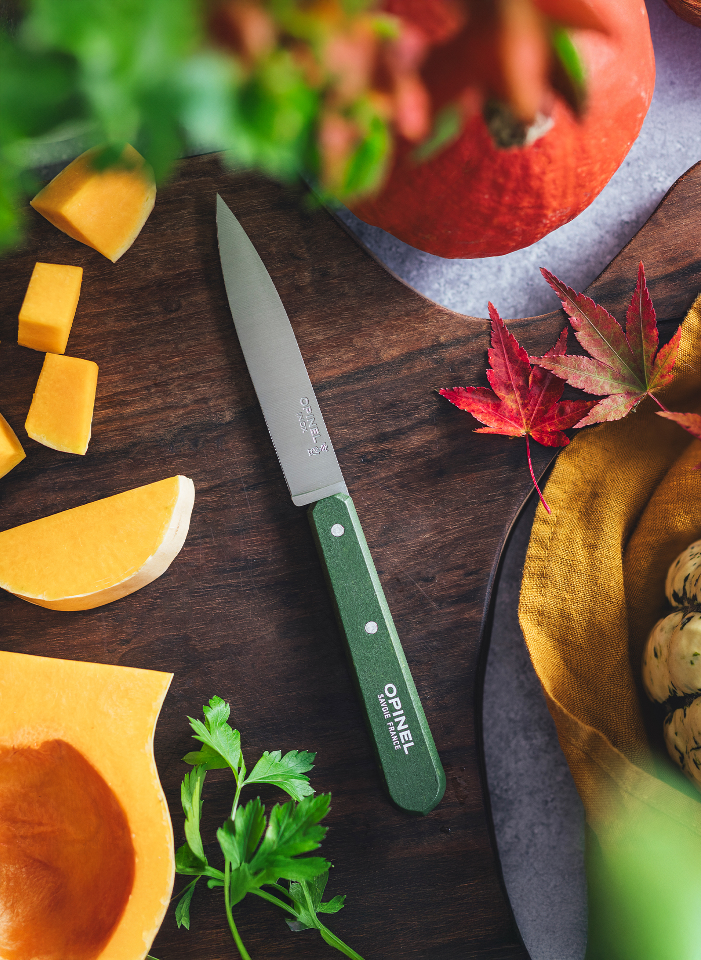 Coffret de 4 couteaux d'office OPINEL Multicolore