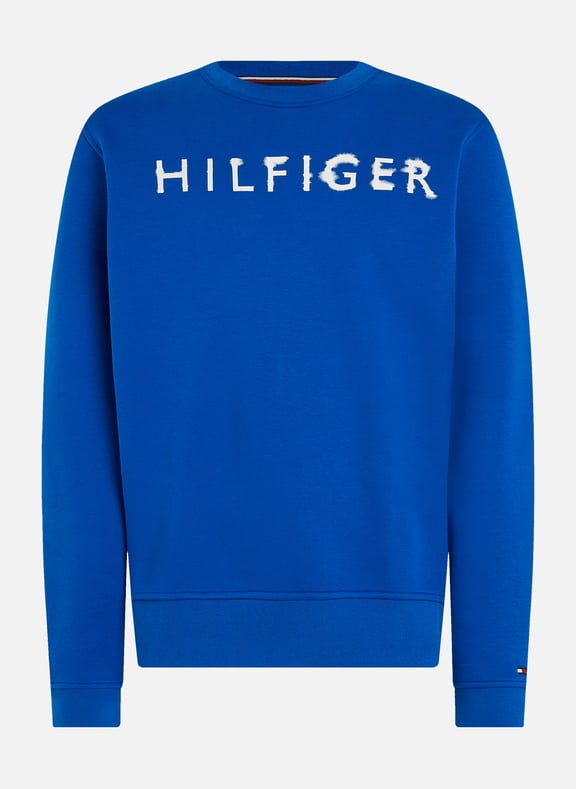 Tommy sweatshirt blue best sale