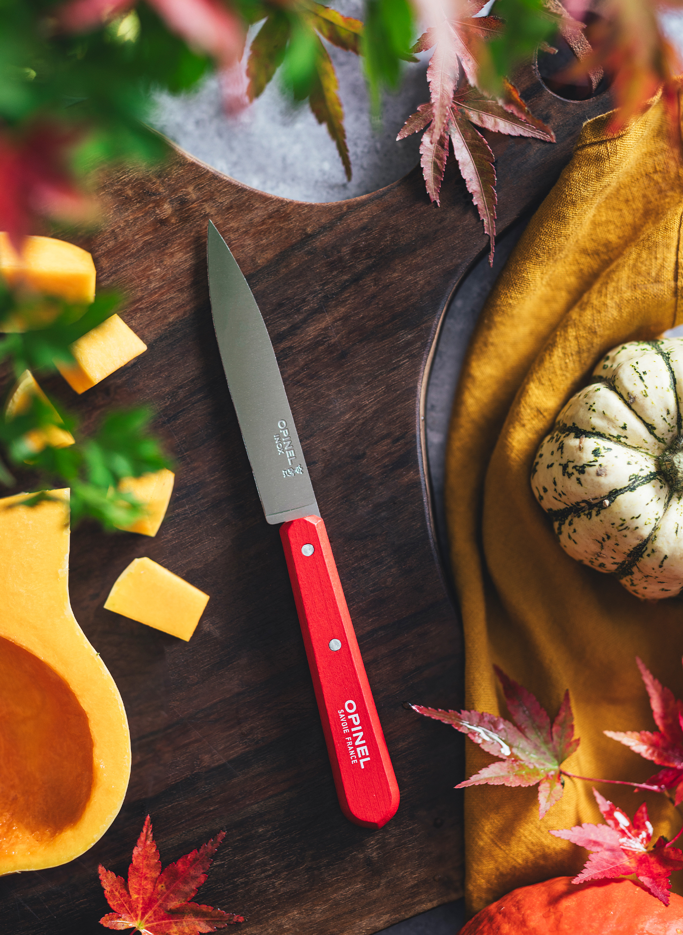 Coffret de 4 couteaux d'office OPINEL Multicolore